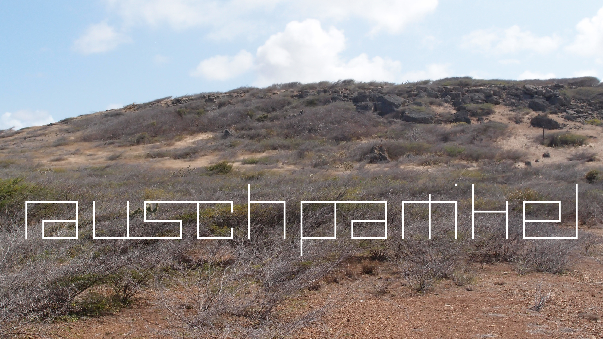 2022-04-14 Shete Boka Nationalpark (Foto)