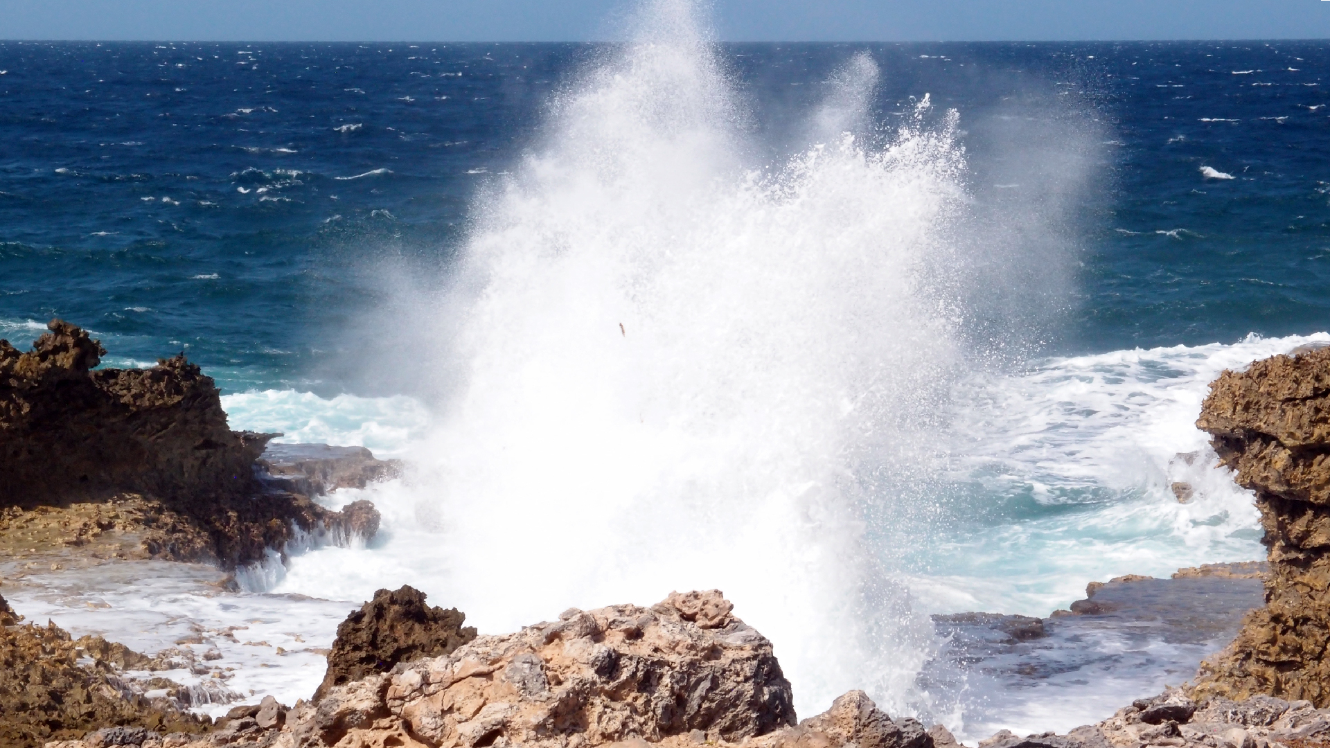 2022-04-14 Shete Boka Nationalpark (Foto)