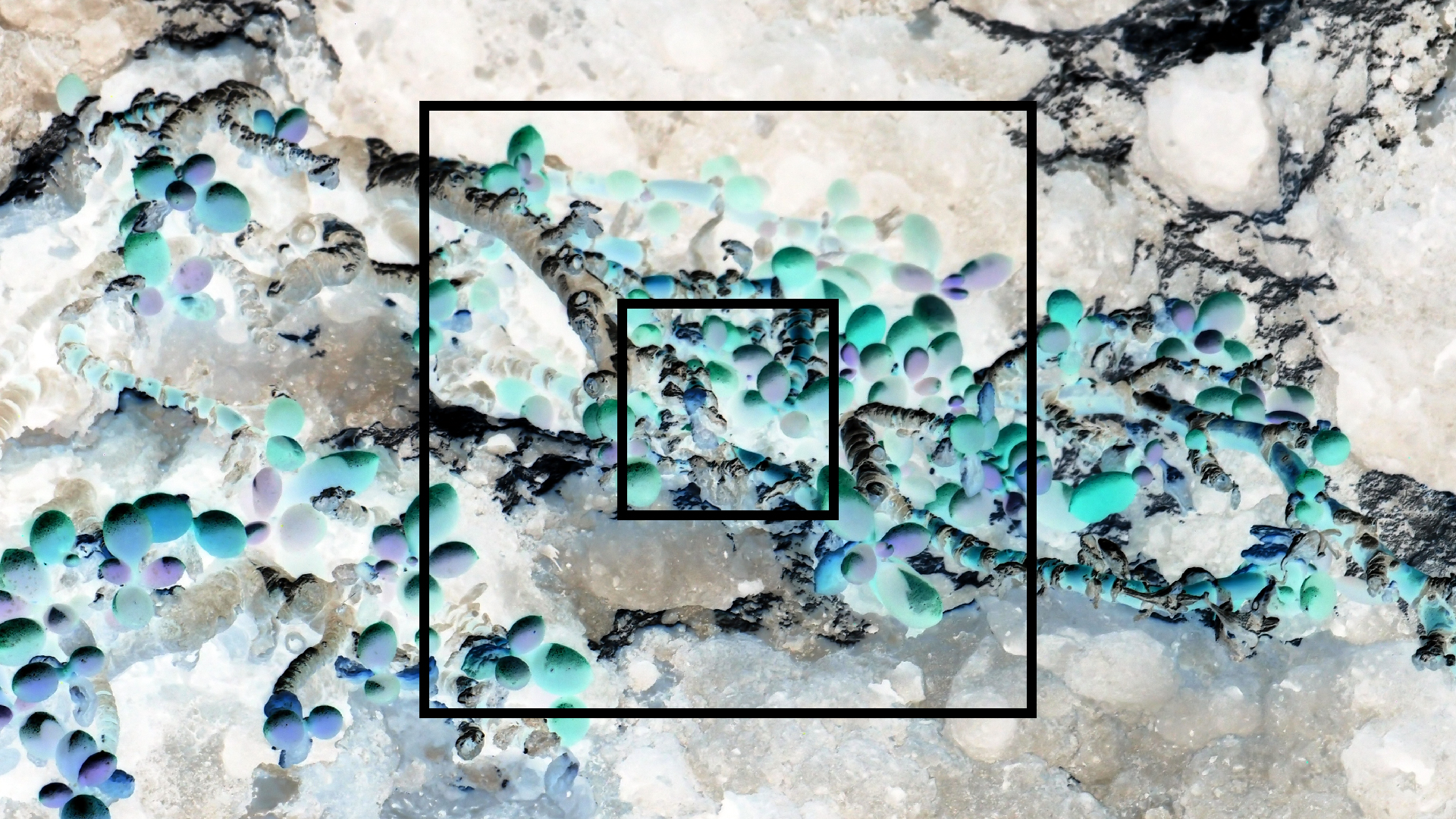 2022-04-14 Shete Boka Nationalpark (Foto)