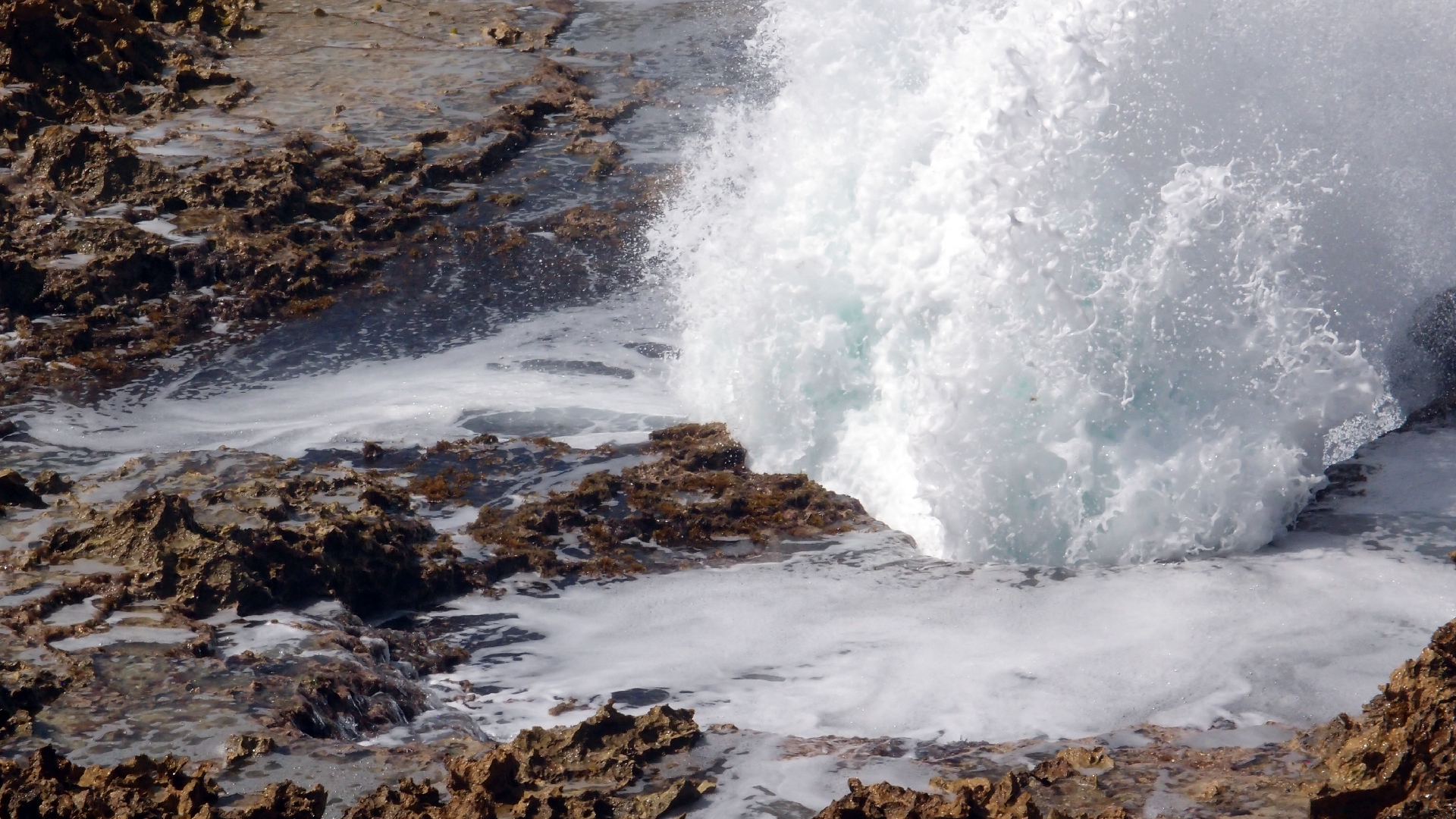 2022-04-14 Shete Boka Nationalpark (Foto)