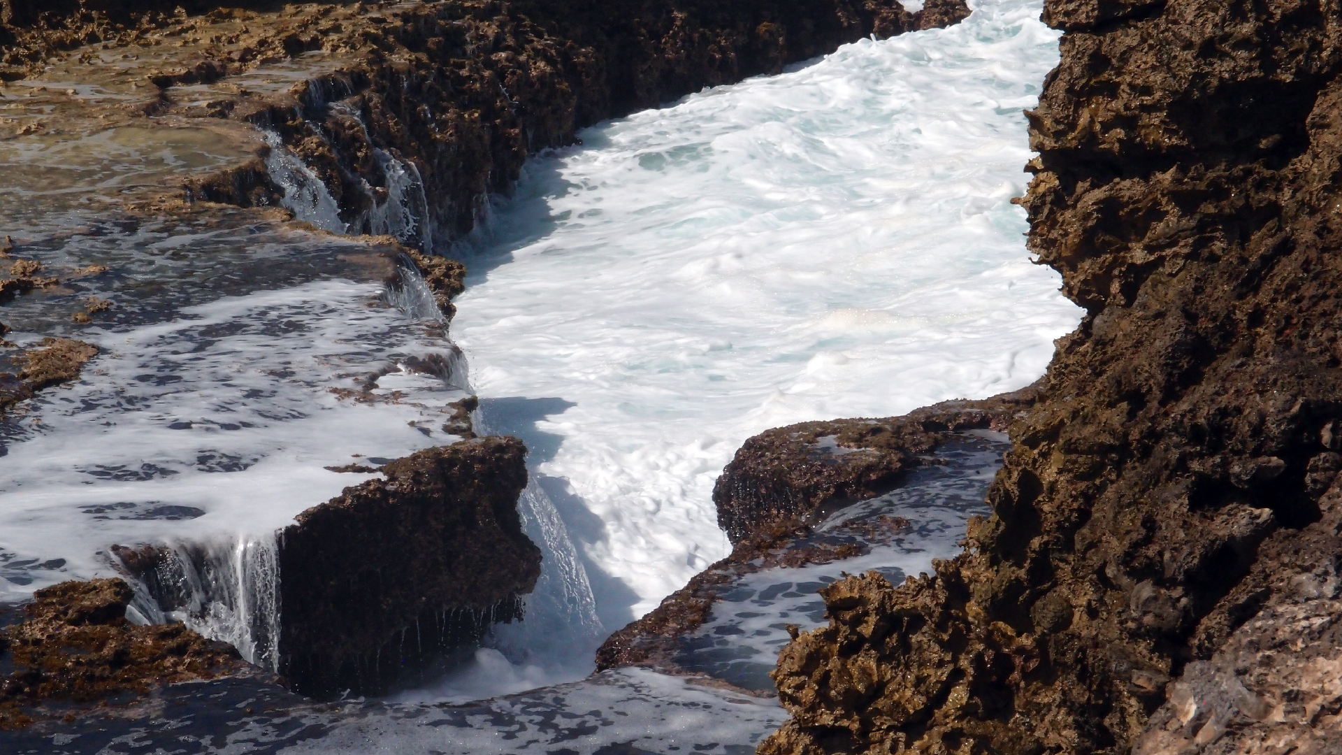 2022-04-14 Shete Boka Nationalpark (Foto)