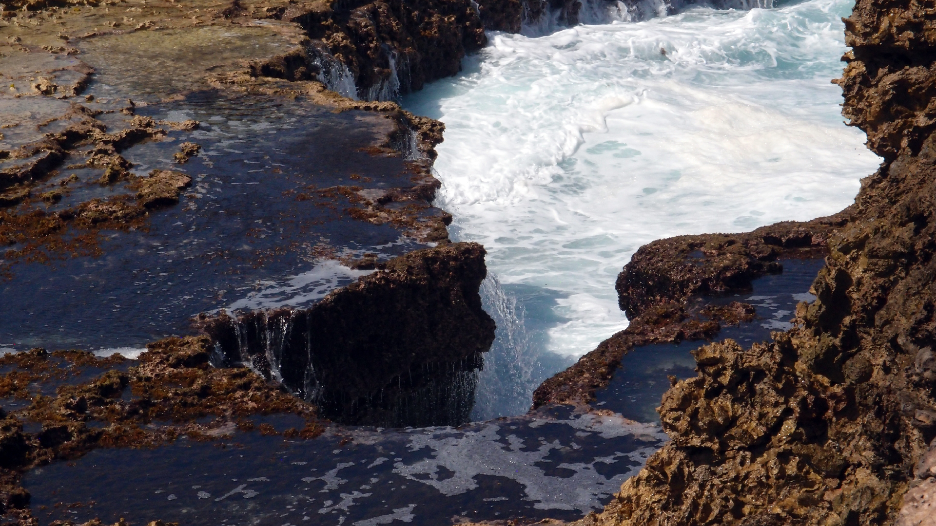 2022-04-14 Shete Boka Nationalpark (Foto)