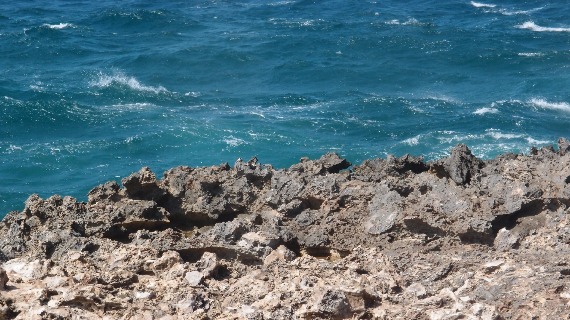 2022-04-14 Shete Boka Nationalpark (Foto)