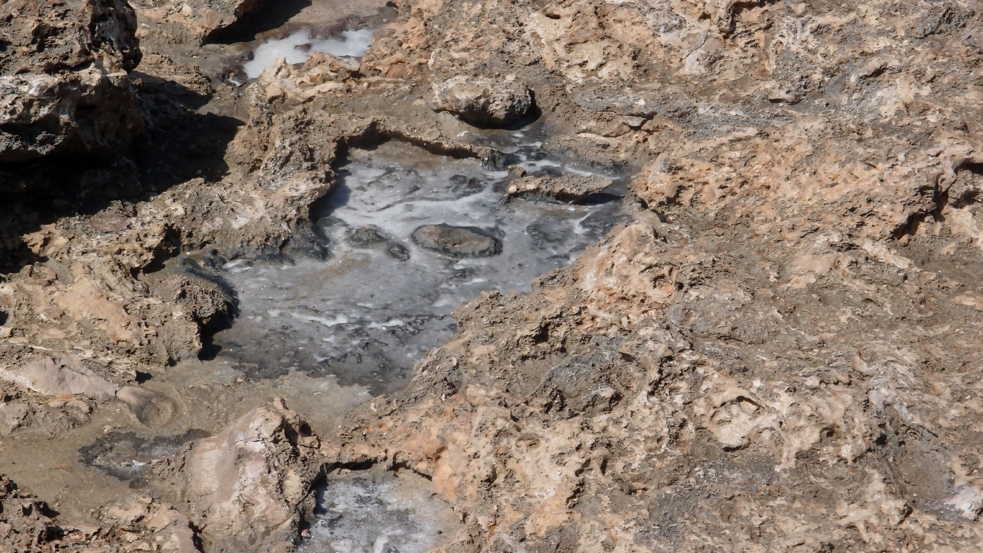 2022-04-14 Shete Boka Nationalpark (Foto)