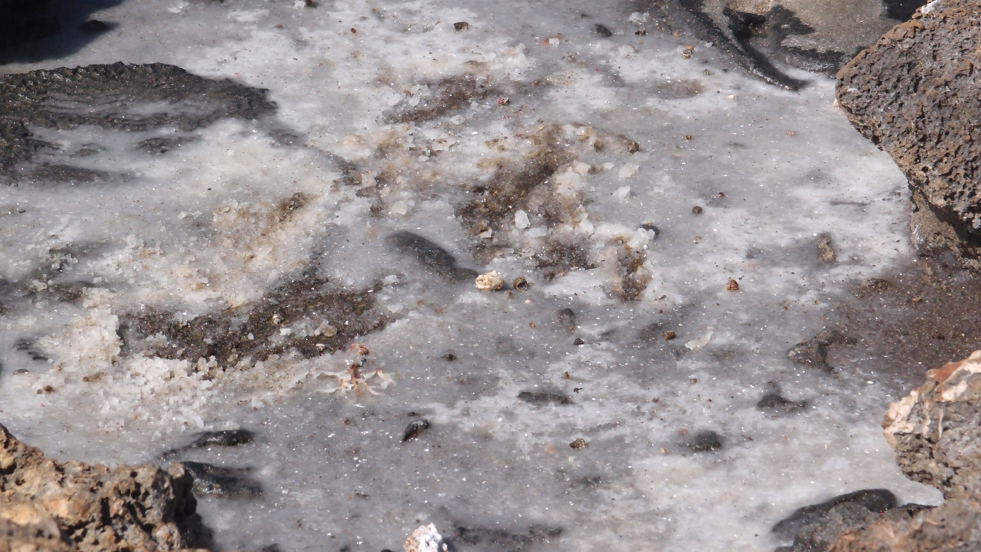 2022-04-14 Shete Boka Nationalpark (Foto)