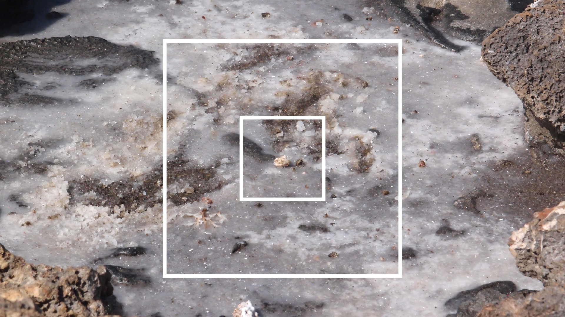 2022-04-14 Shete Boka Nationalpark (Foto)