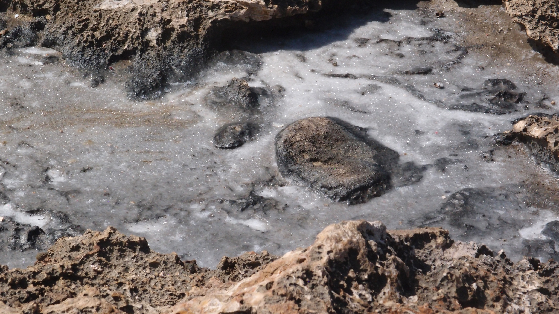 2022-04-14 Shete Boka Nationalpark (Foto)