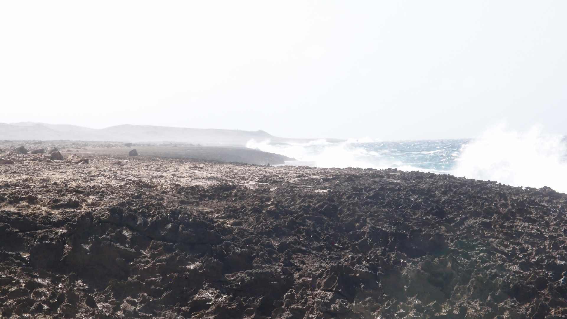 2022-04-14 Shete Boka Nationalpark (Foto)