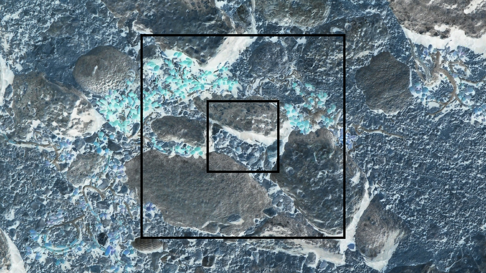 2022-04-14 Shete Boka Nationalpark (Foto)