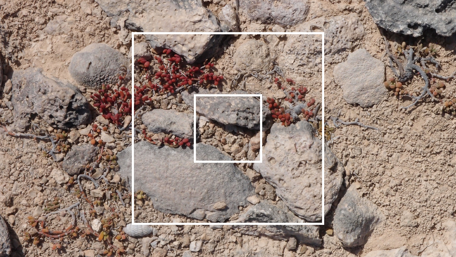 2022-04-14 Shete Boka Nationalpark (Foto)