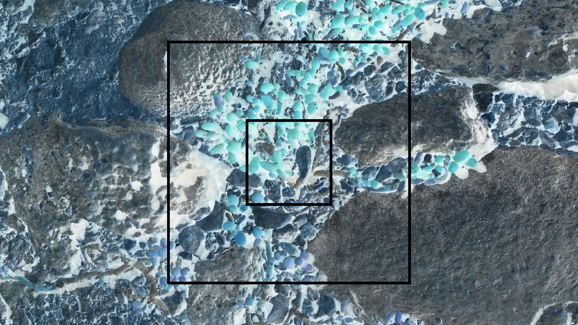 2022-04-14 Shete Boka Nationalpark (Foto)