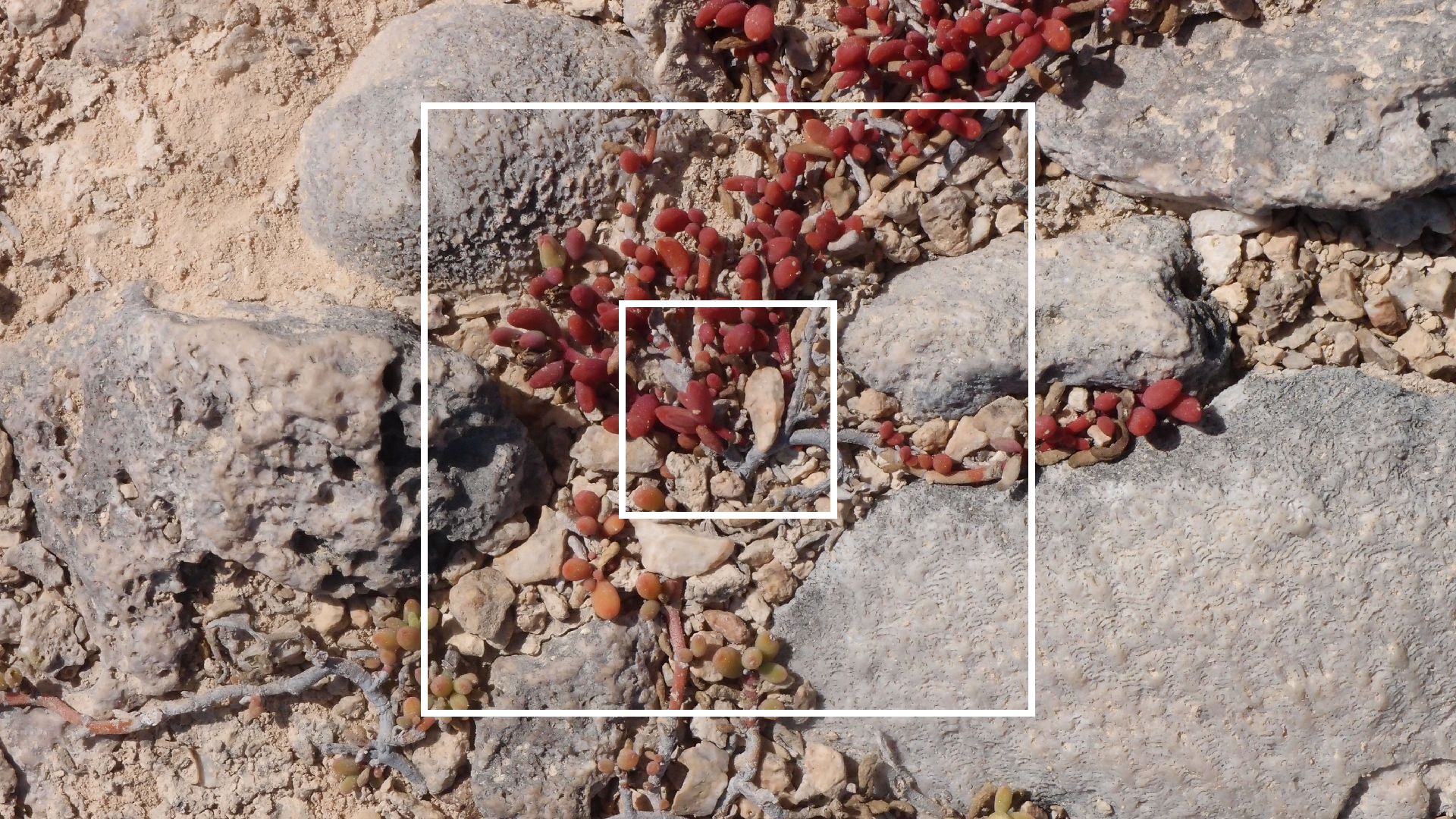 2022-04-14 Shete Boka Nationalpark (Foto)