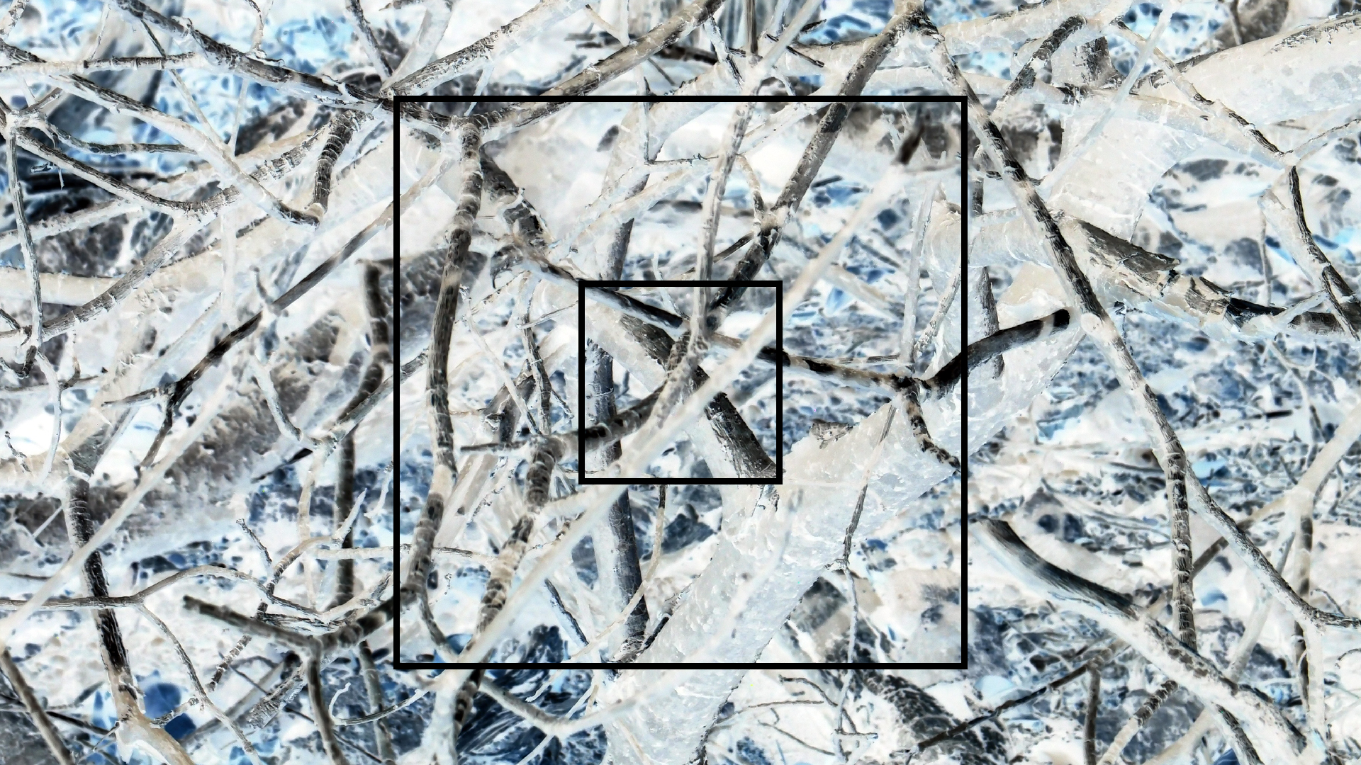 2022-04-14 Shete Boka Nationalpark (Foto)