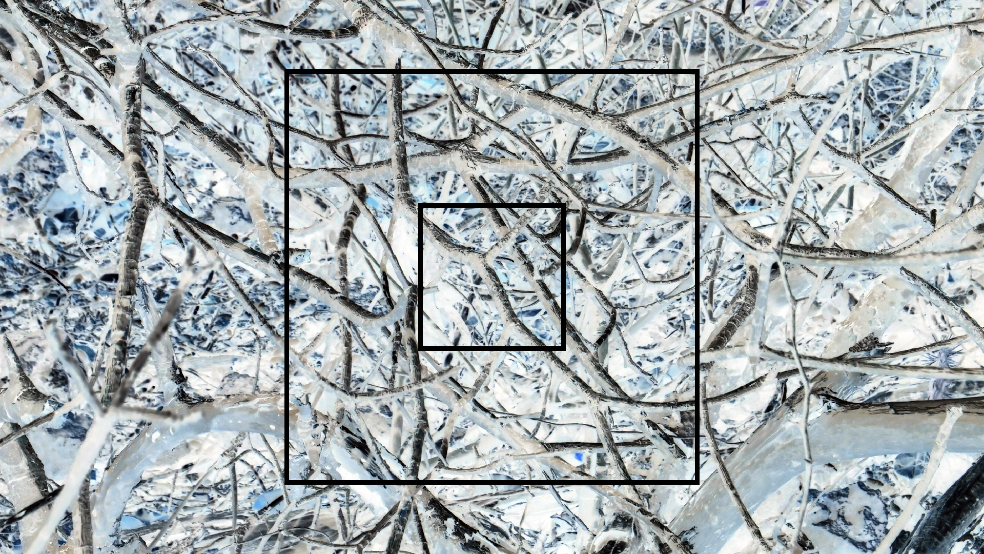 2022-04-14 Shete Boka Nationalpark (Foto)