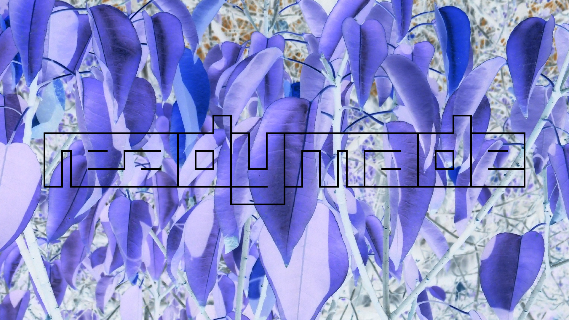 2022-04-14 Shete Boka Nationalpark (Foto)