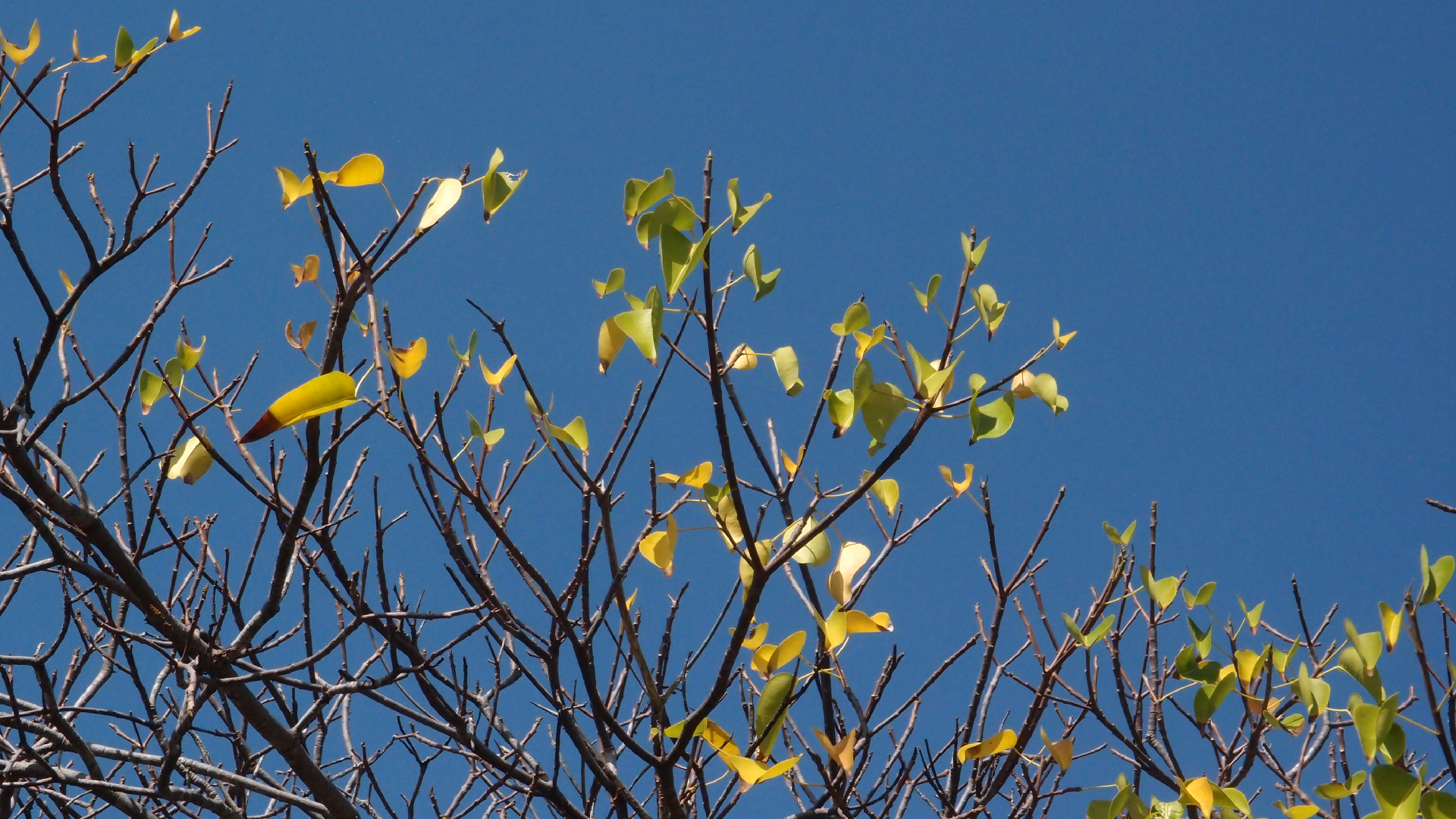 2022-04-14 Shete Boka Nationalpark (Foto)