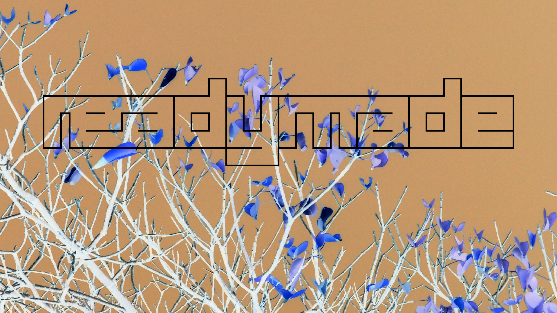 2022-04-14 Shete Boka Nationalpark (Foto)