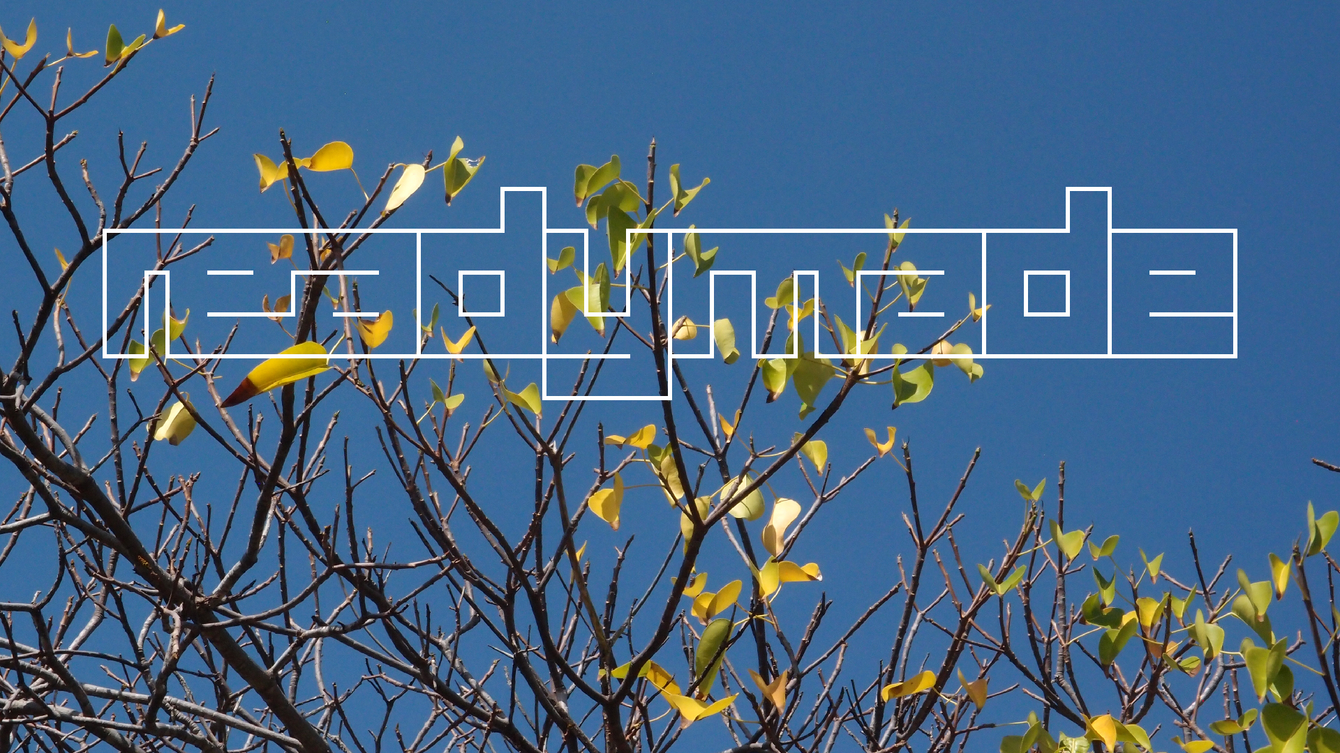 2022-04-14 Shete Boka Nationalpark (Foto)