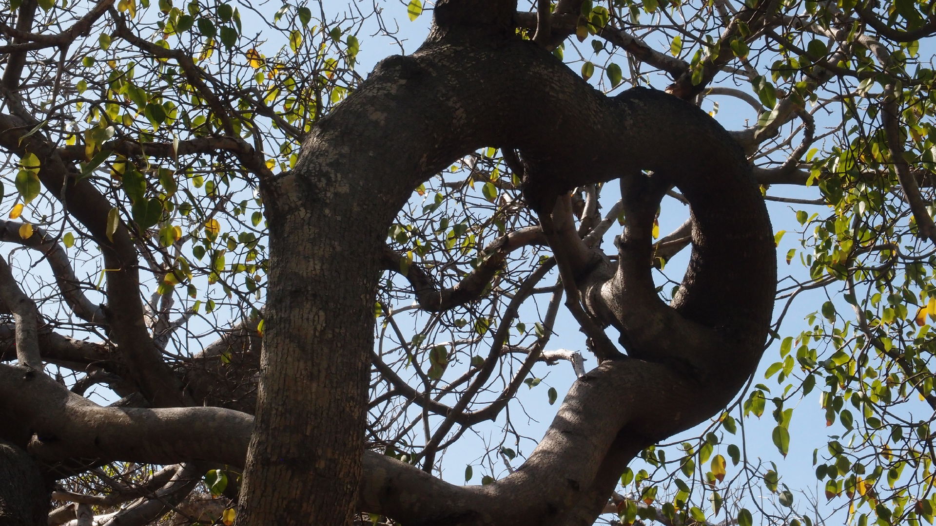 2022-04-14 Shete Boka Nationalpark (Foto)