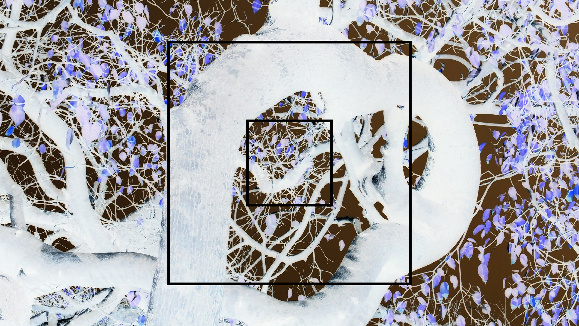 2022-04-14 Shete Boka Nationalpark (Foto)