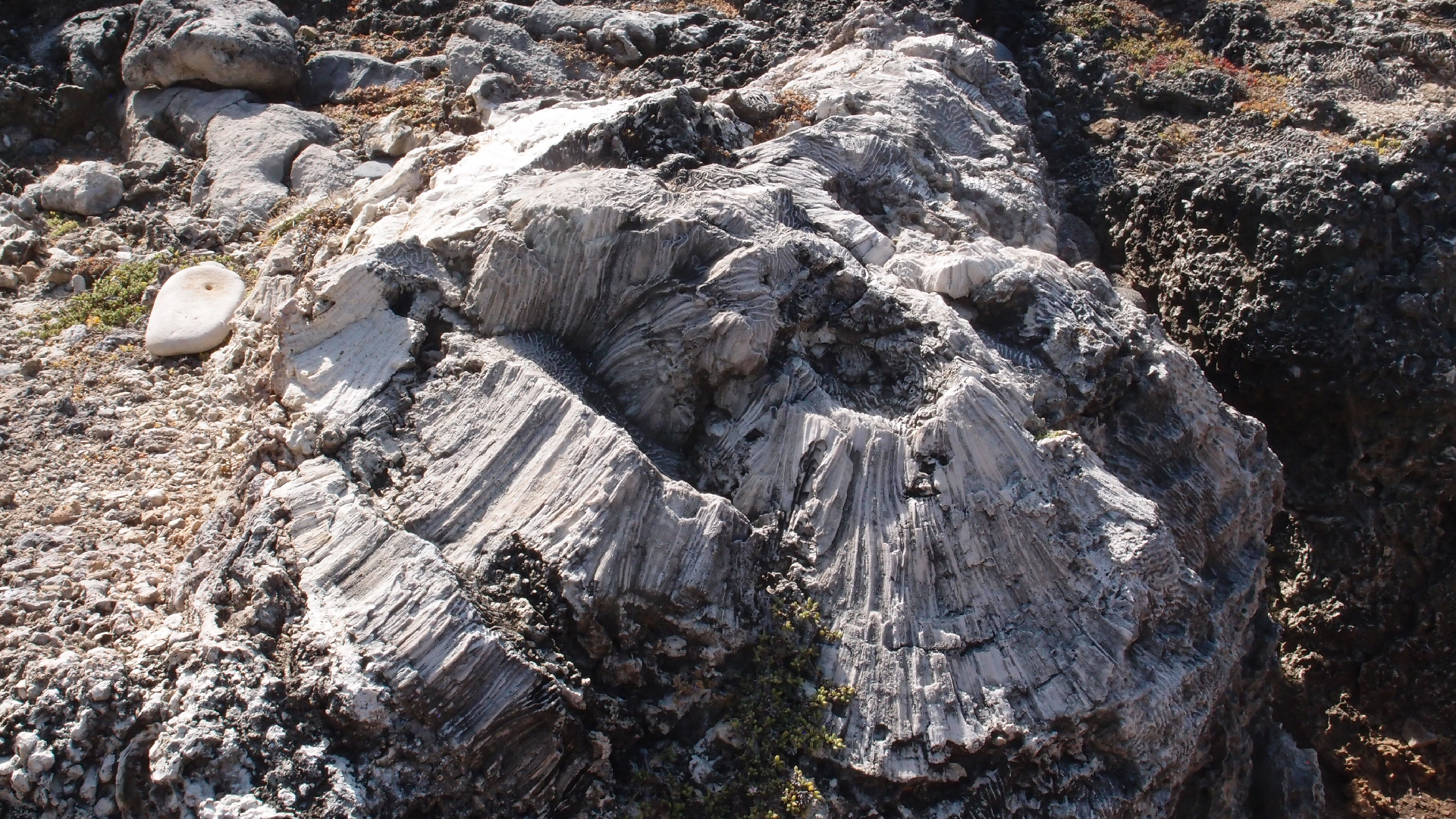 2022-04-14 Shete Boka Nationalpark (Foto)