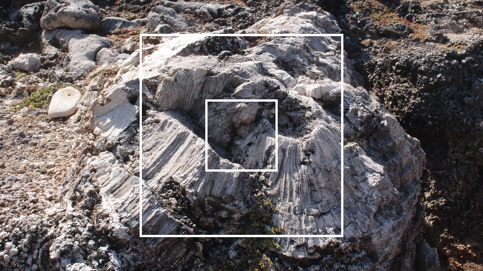 2022-04-14 Shete Boka Nationalpark (Foto)