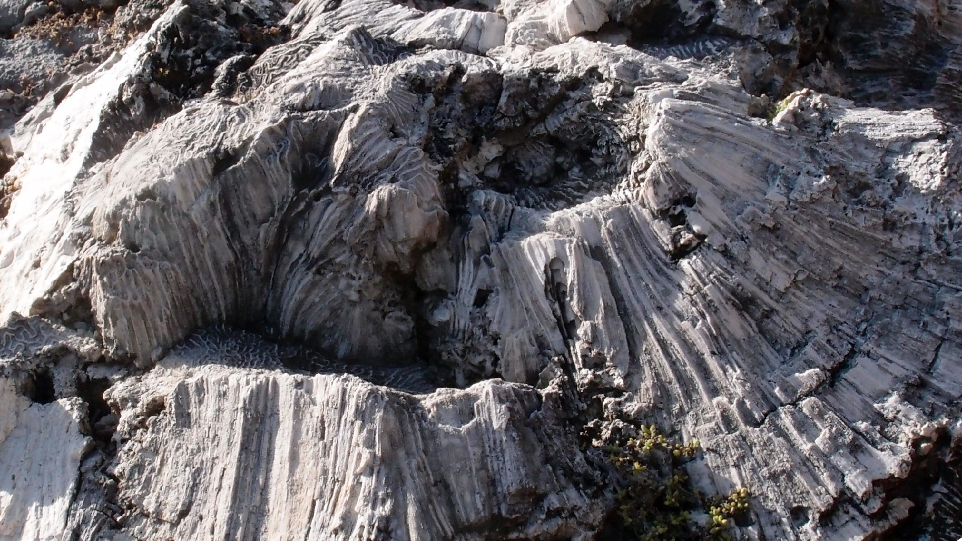 2022-04-14 Shete Boka Nationalpark (Foto)