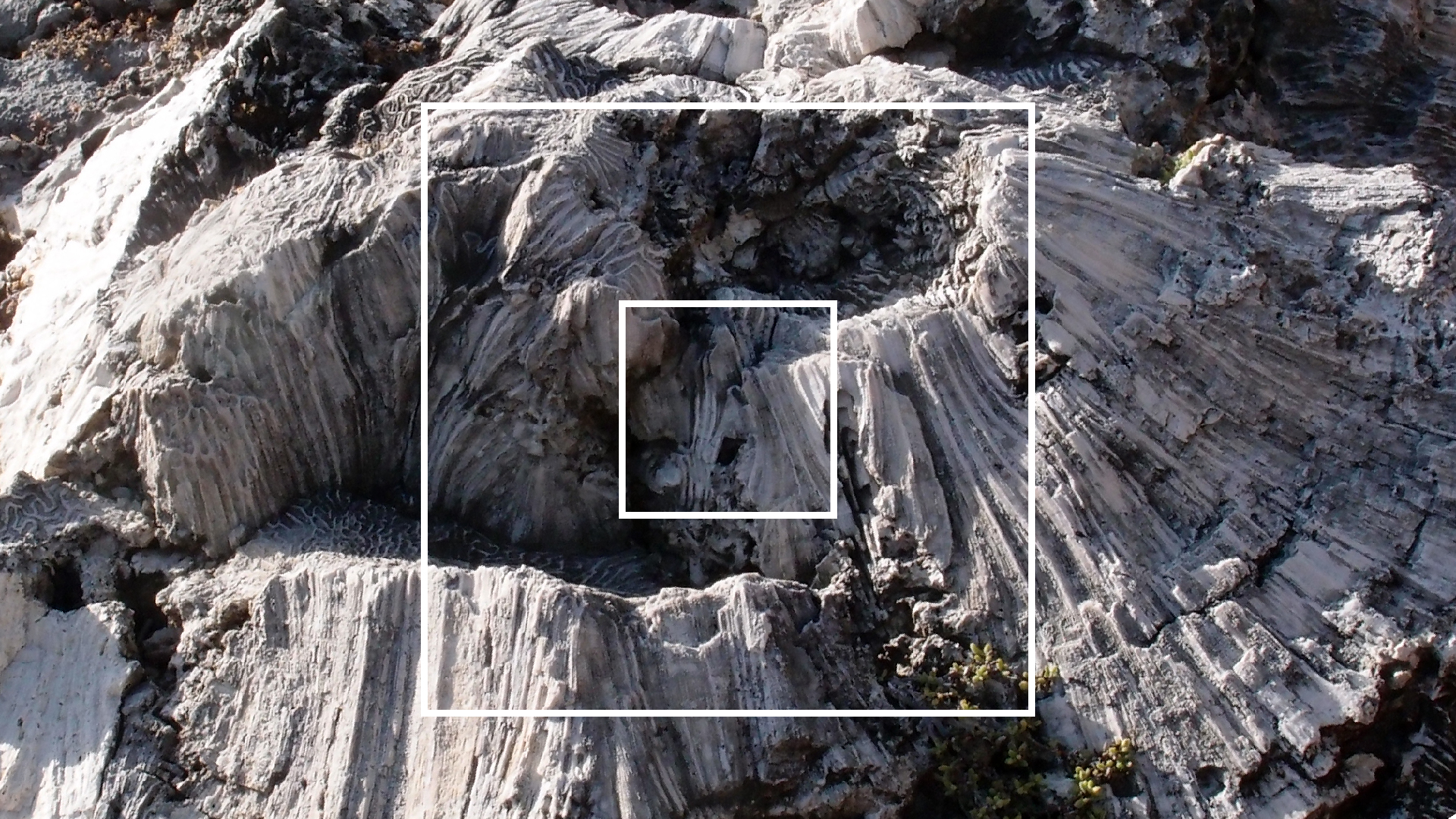 2022-04-14 Shete Boka Nationalpark (Foto)