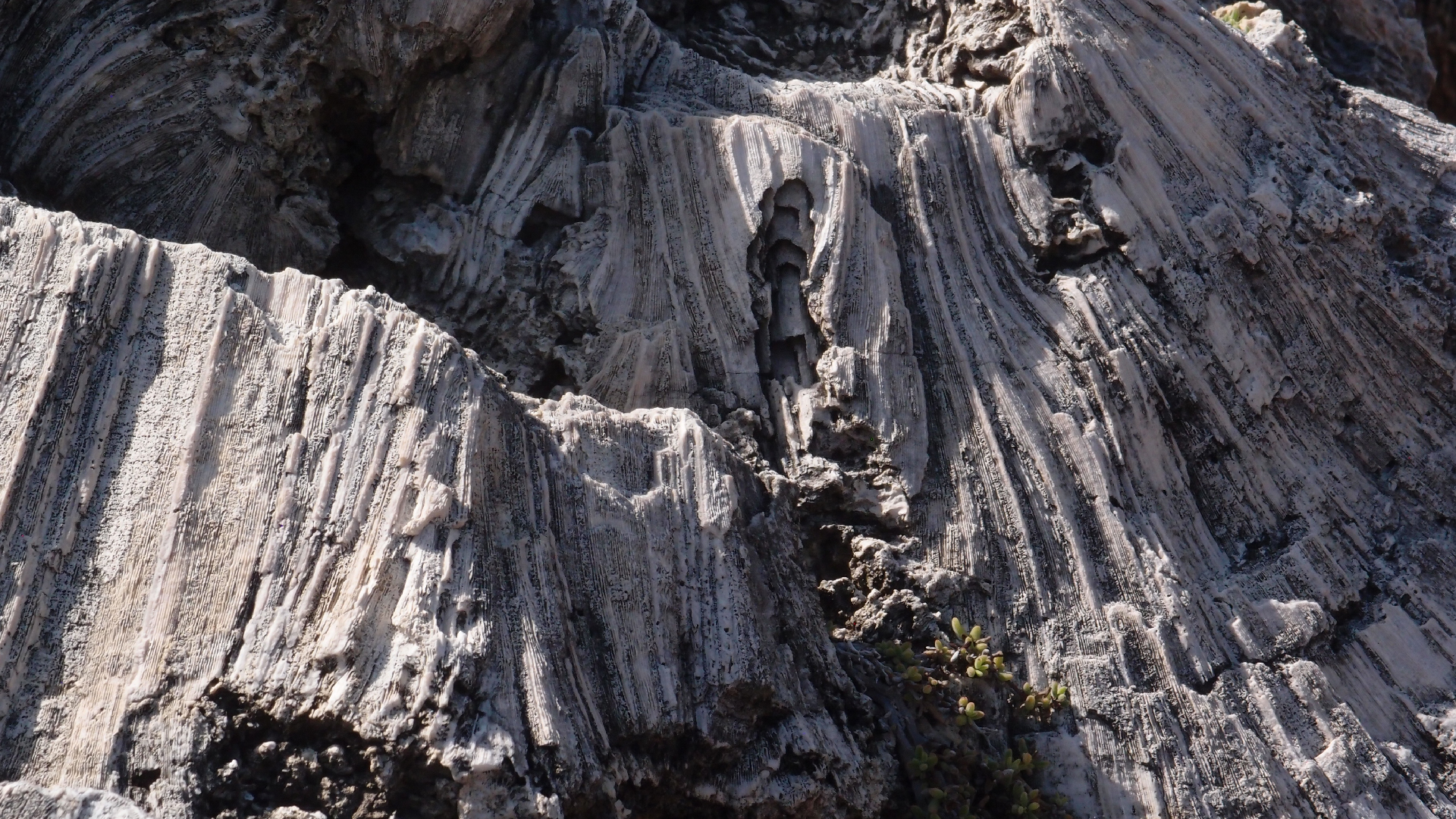 2022-04-14 Shete Boka Nationalpark (Foto)