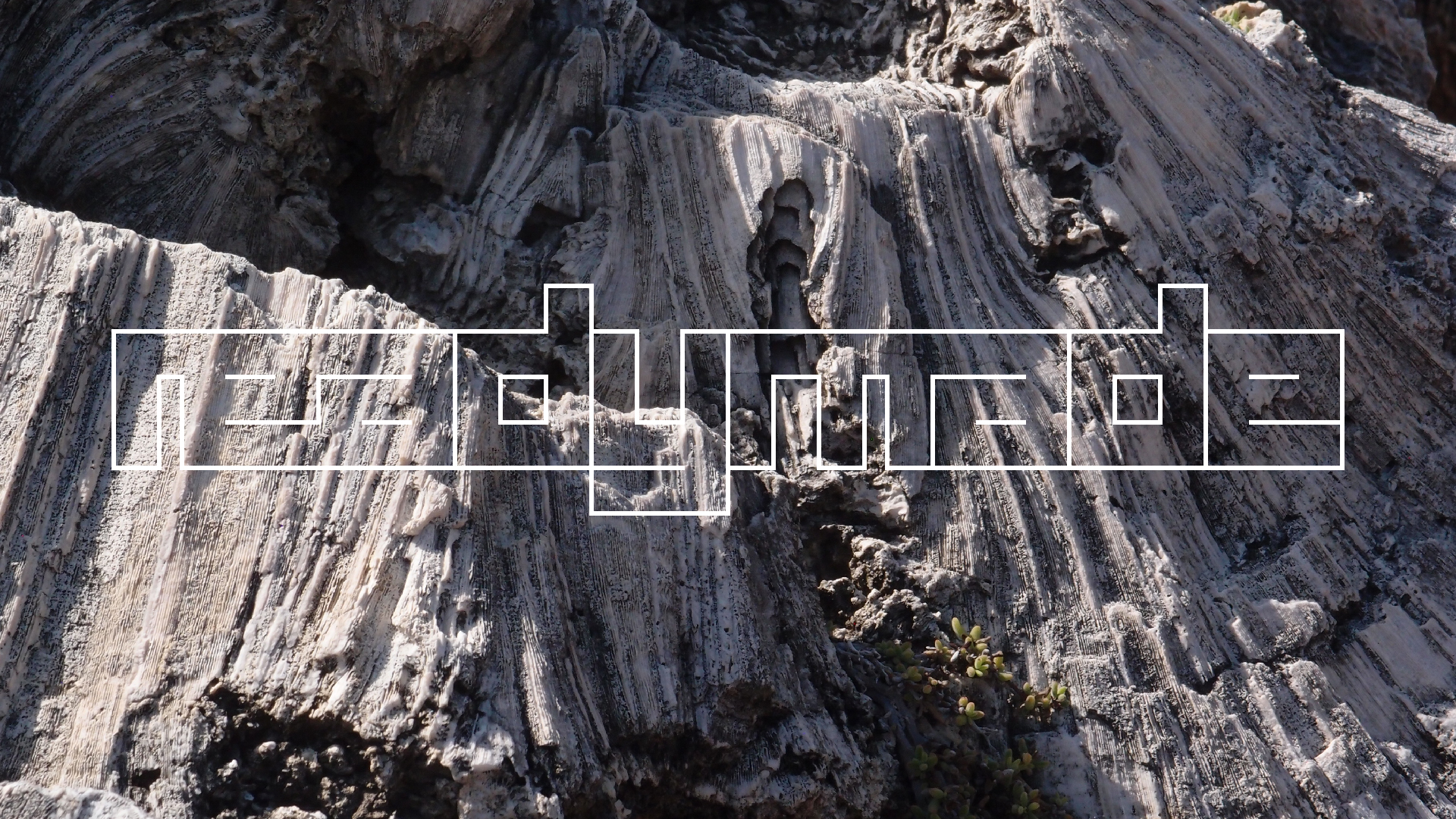 2022-04-14 Shete Boka Nationalpark (Foto)