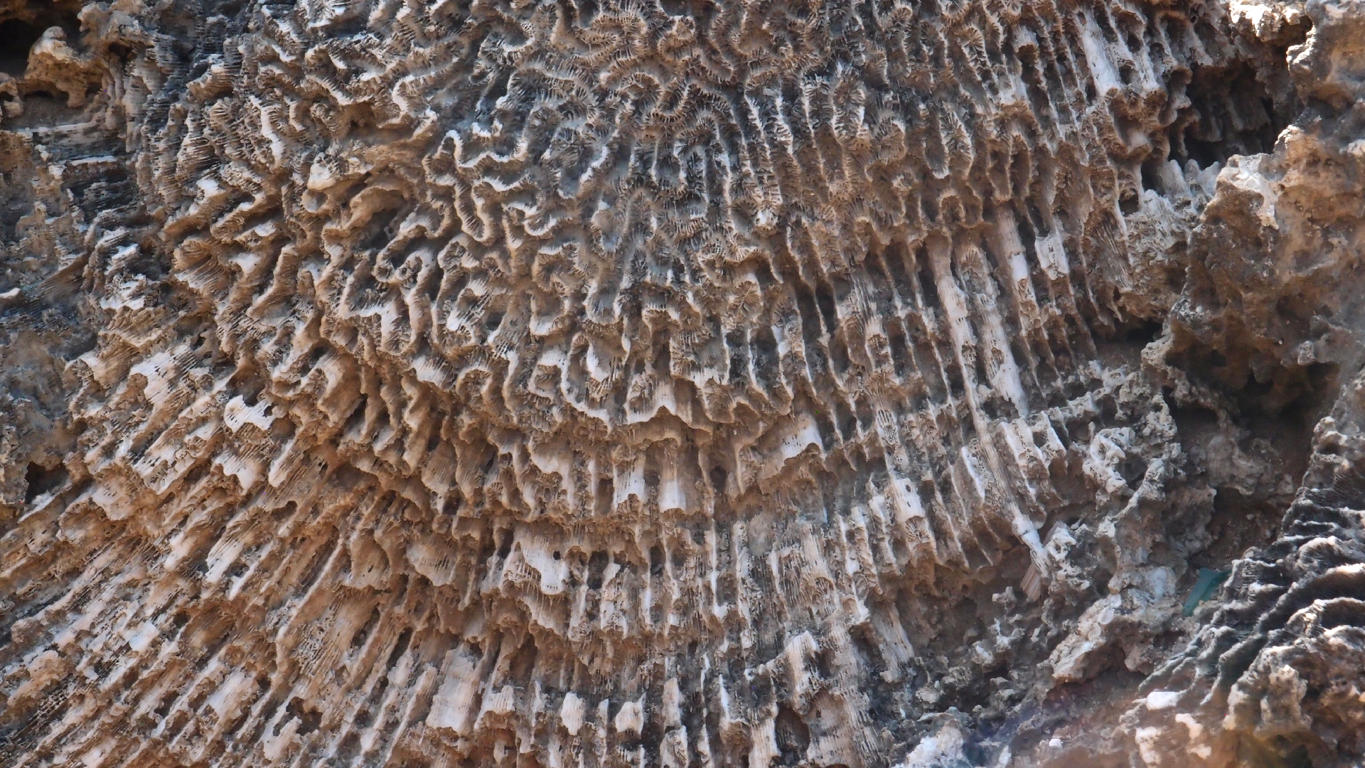 2022-04-14 Shete Boka Nationalpark (Foto)