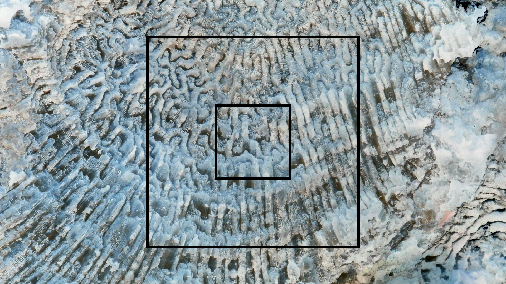 2022-04-14 Shete Boka Nationalpark (Foto)