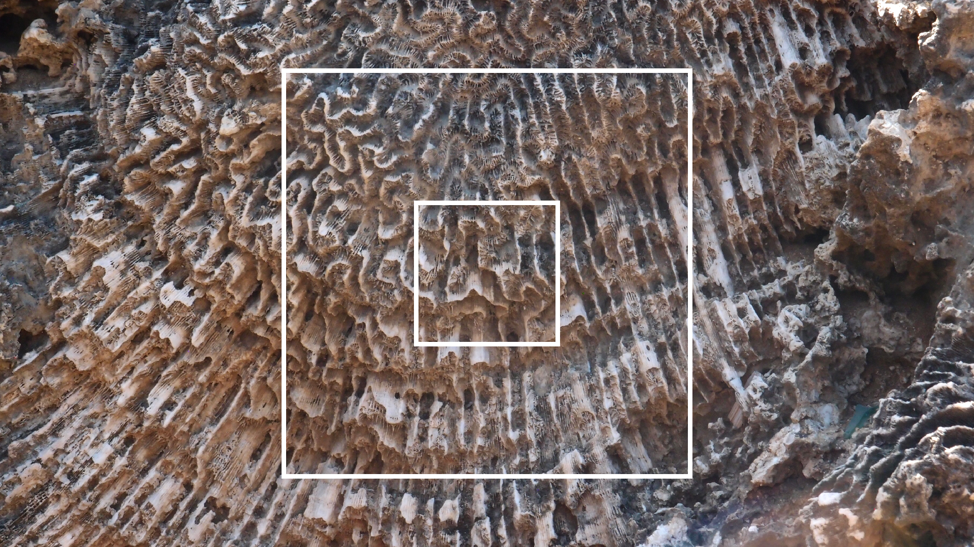 2022-04-14 Shete Boka Nationalpark (Foto)