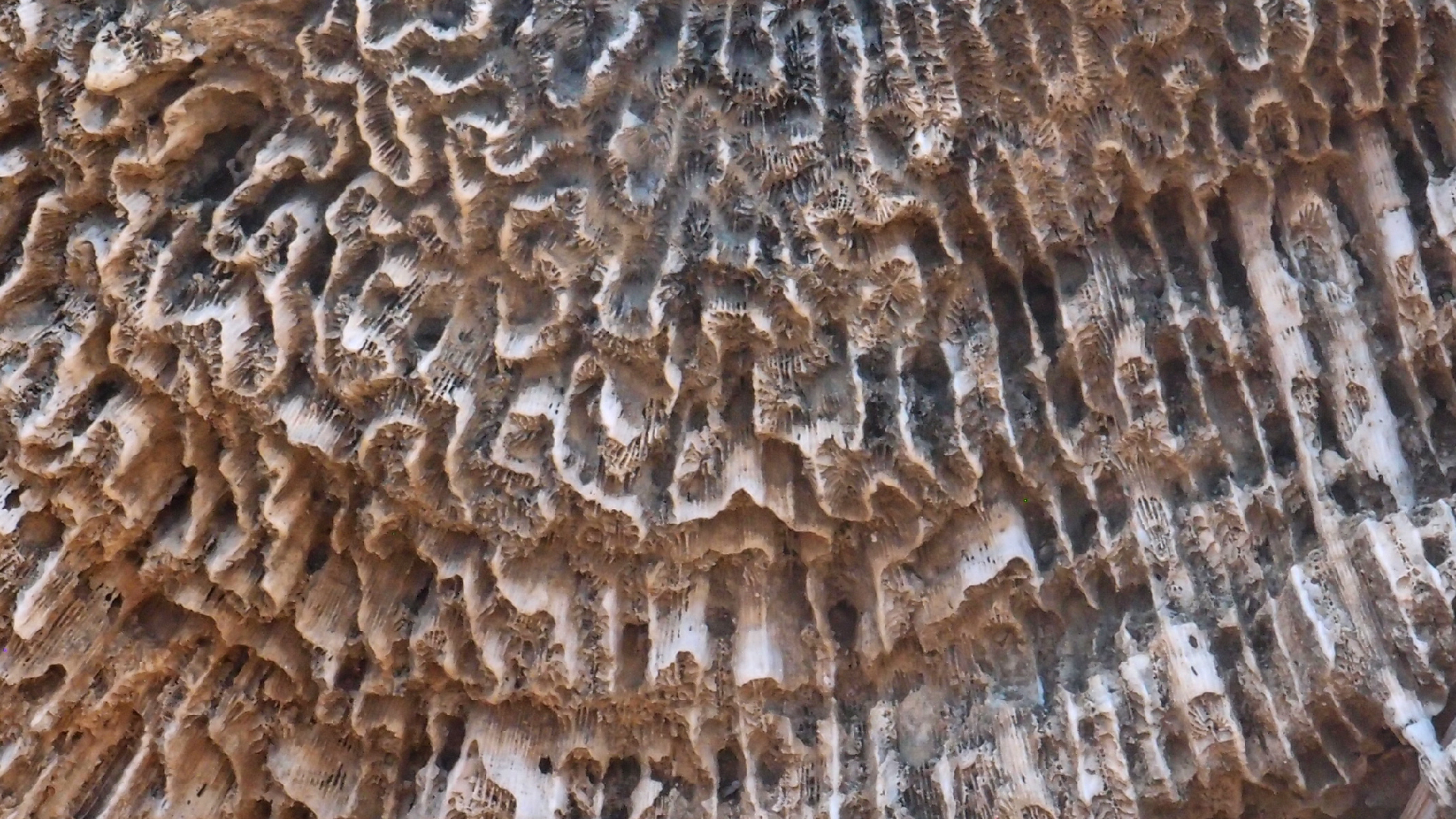 2022-04-14 Shete Boka Nationalpark (Foto)