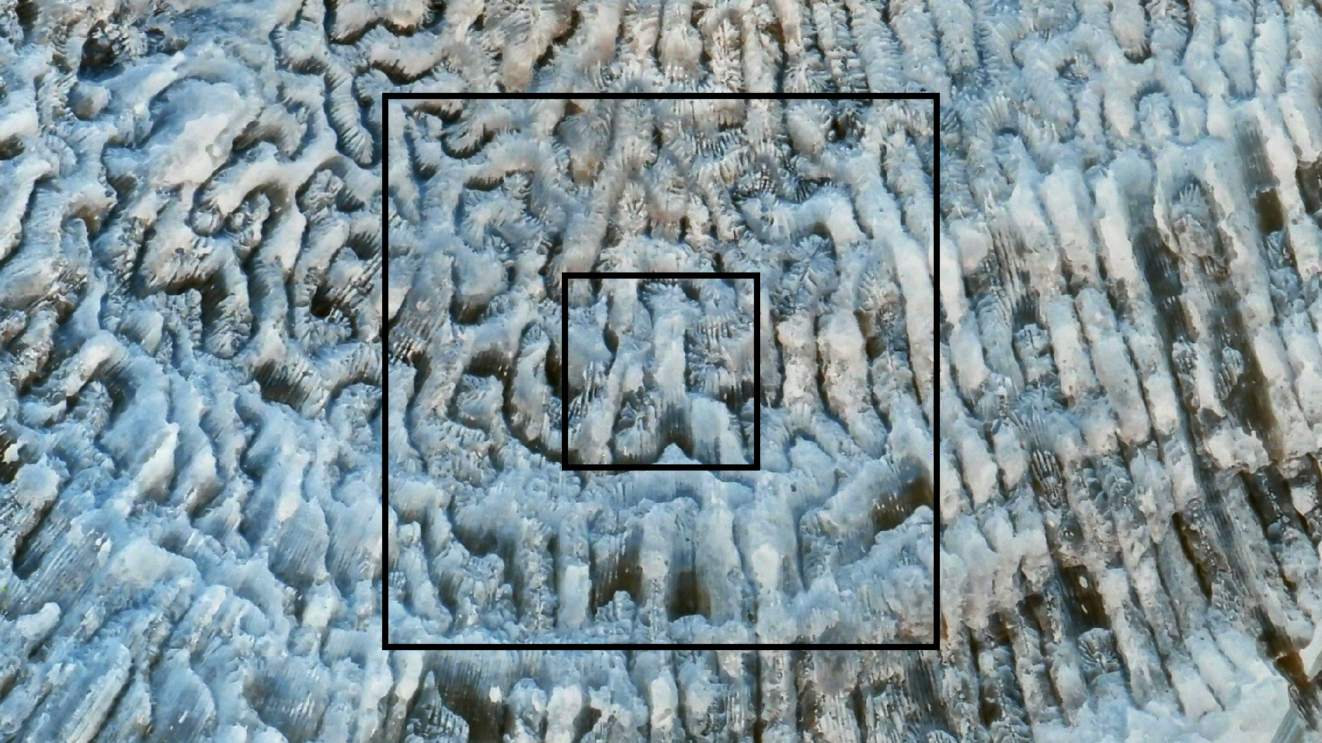 2022-04-14 Shete Boka Nationalpark (Foto)