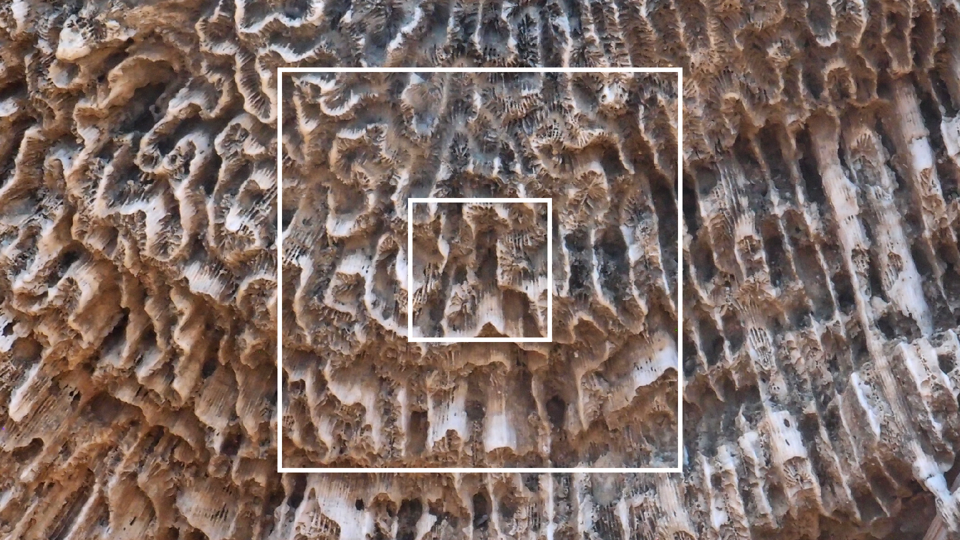 2022-04-14 Shete Boka Nationalpark (Foto)