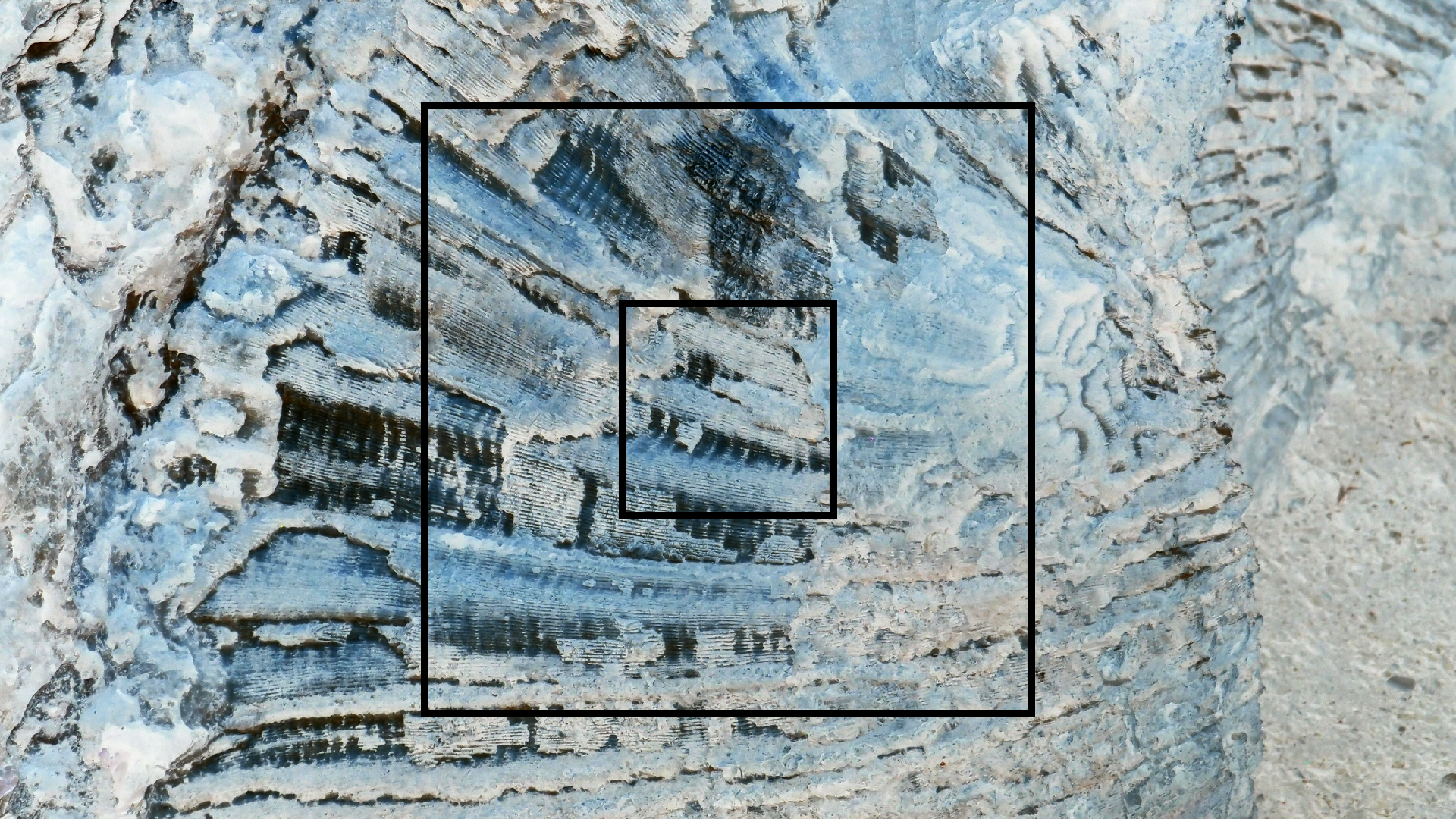 2022-04-14 Shete Boka Nationalpark (Foto)