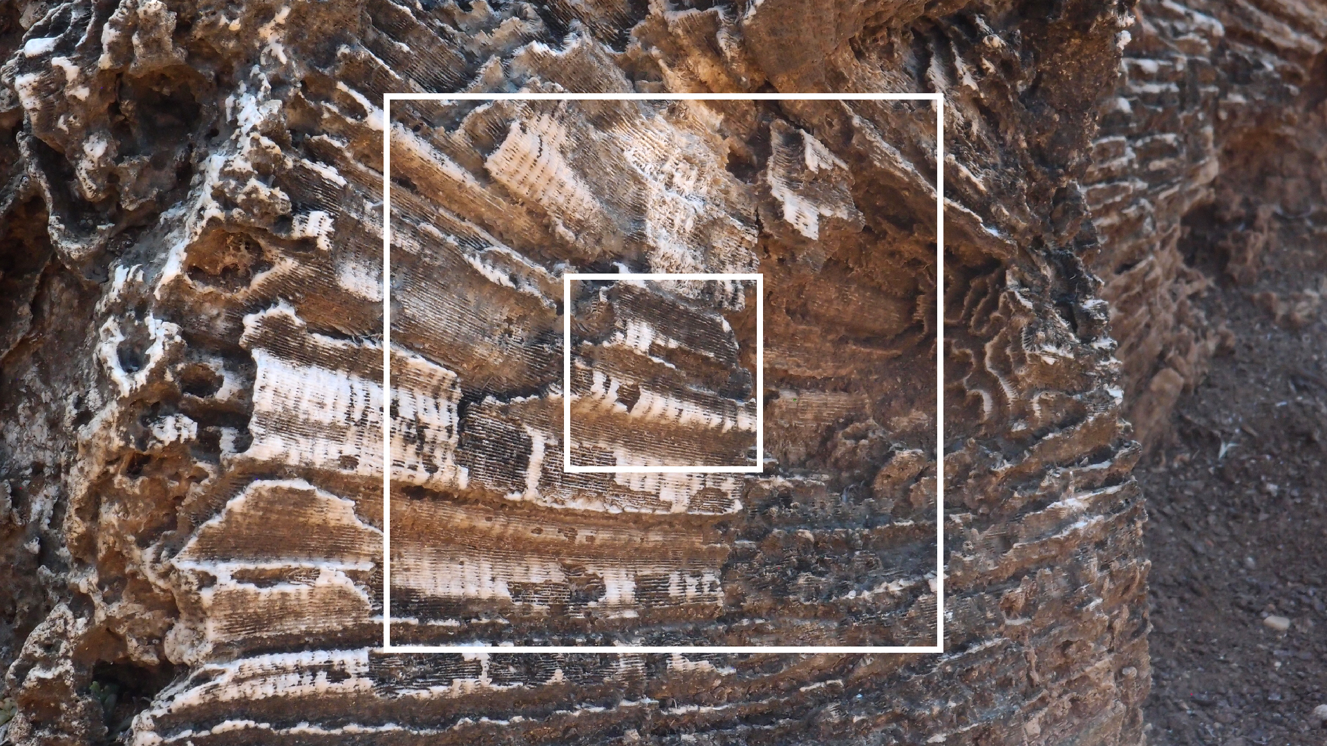 2022-04-14 Shete Boka Nationalpark (Foto)