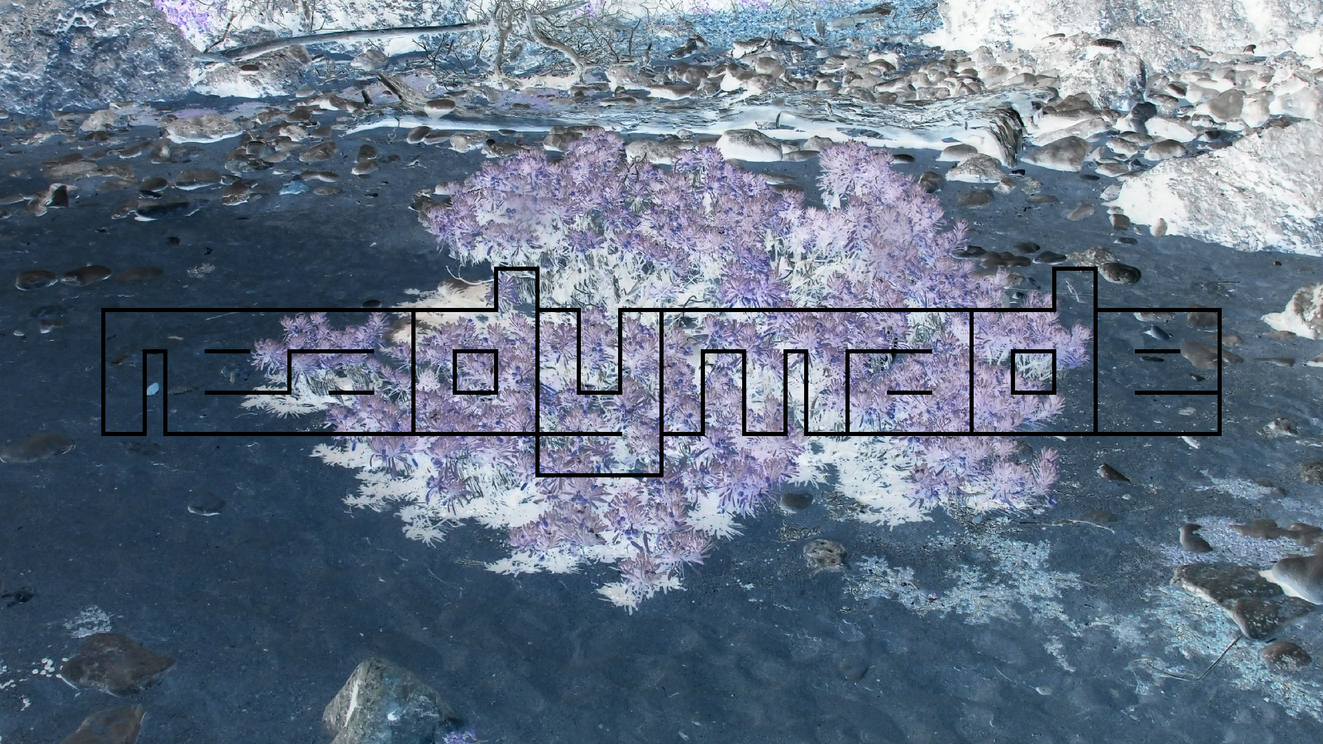 2022-04-14 Shete Boka Nationalpark (Foto)