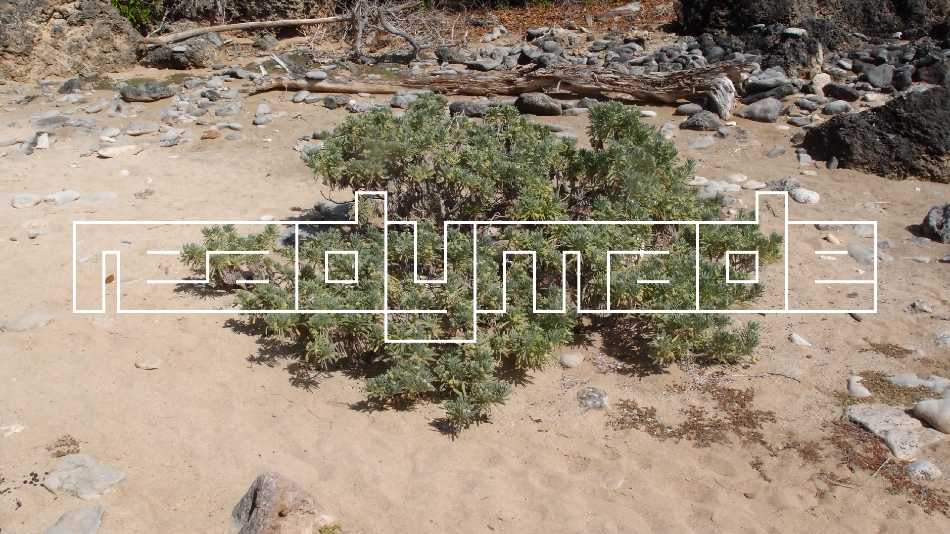 2022-04-14 Shete Boka Nationalpark (Foto)