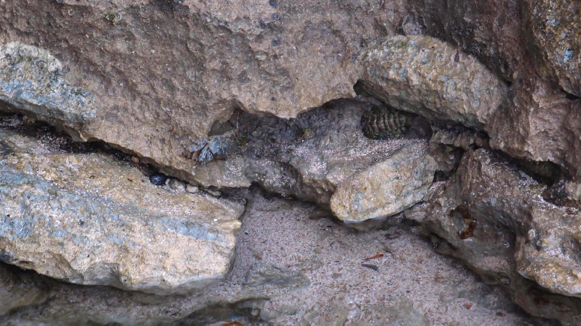 2022-04-14 Shete Boka Nationalpark (Foto)