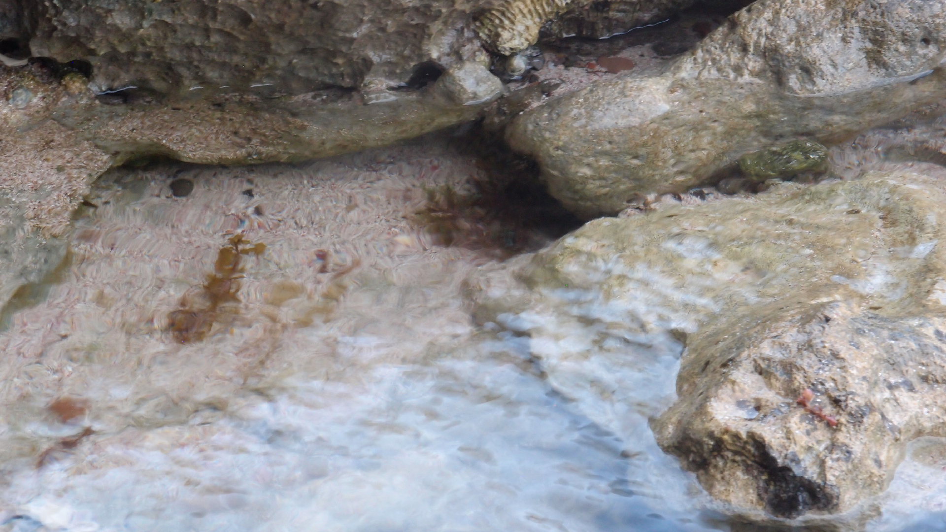 2022-04-14 Shete Boka Nationalpark (Foto)