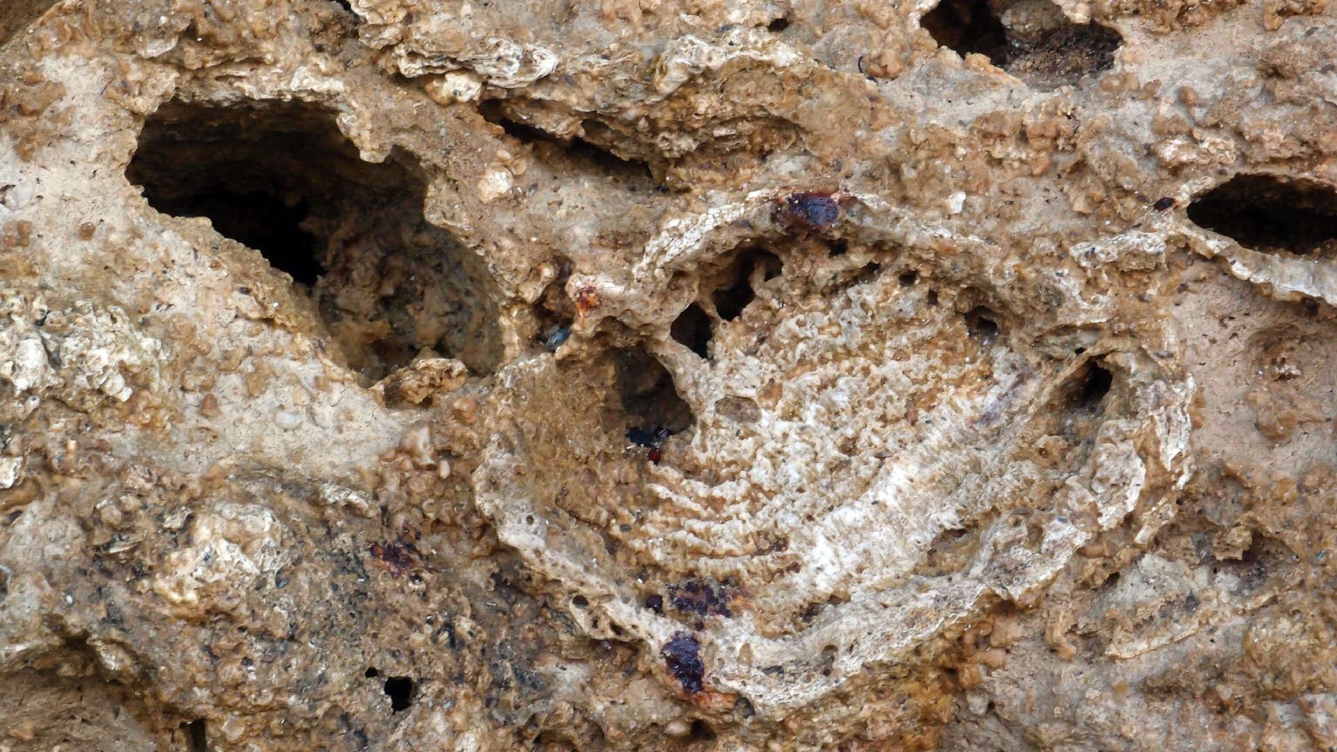 2022-04-14 Shete Boka Nationalpark (Foto)