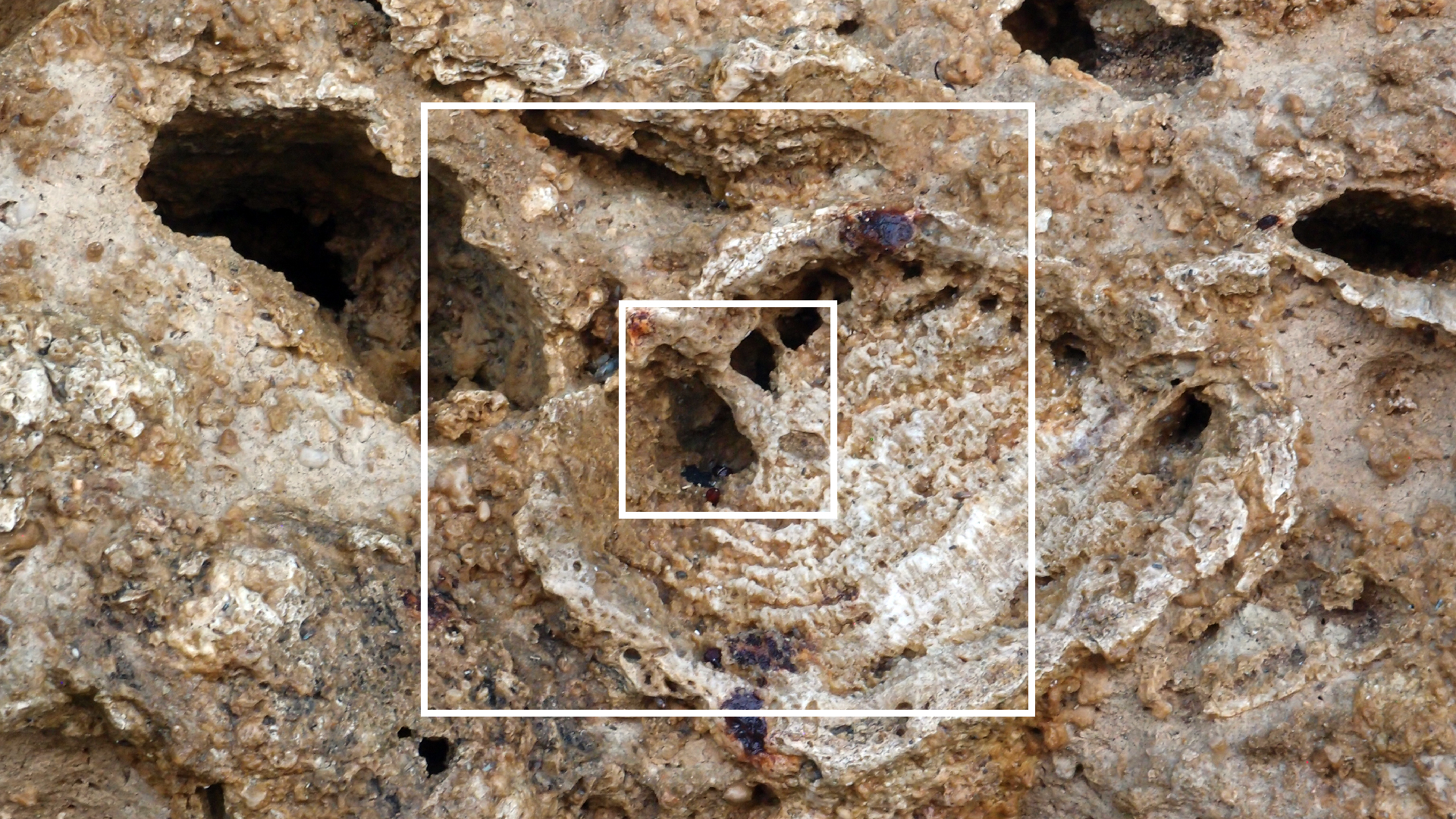 2022-04-14 Shete Boka Nationalpark (Foto)