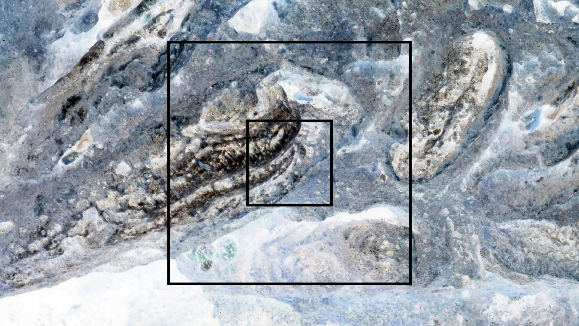 2022-04-14 Shete Boka Nationalpark (Foto)