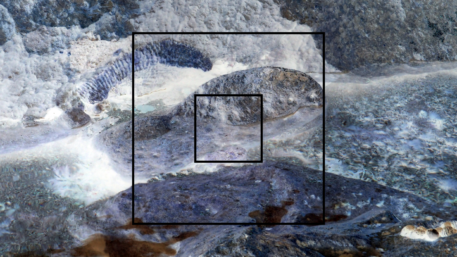 2022-04-14 Shete Boka Nationalpark (Foto)