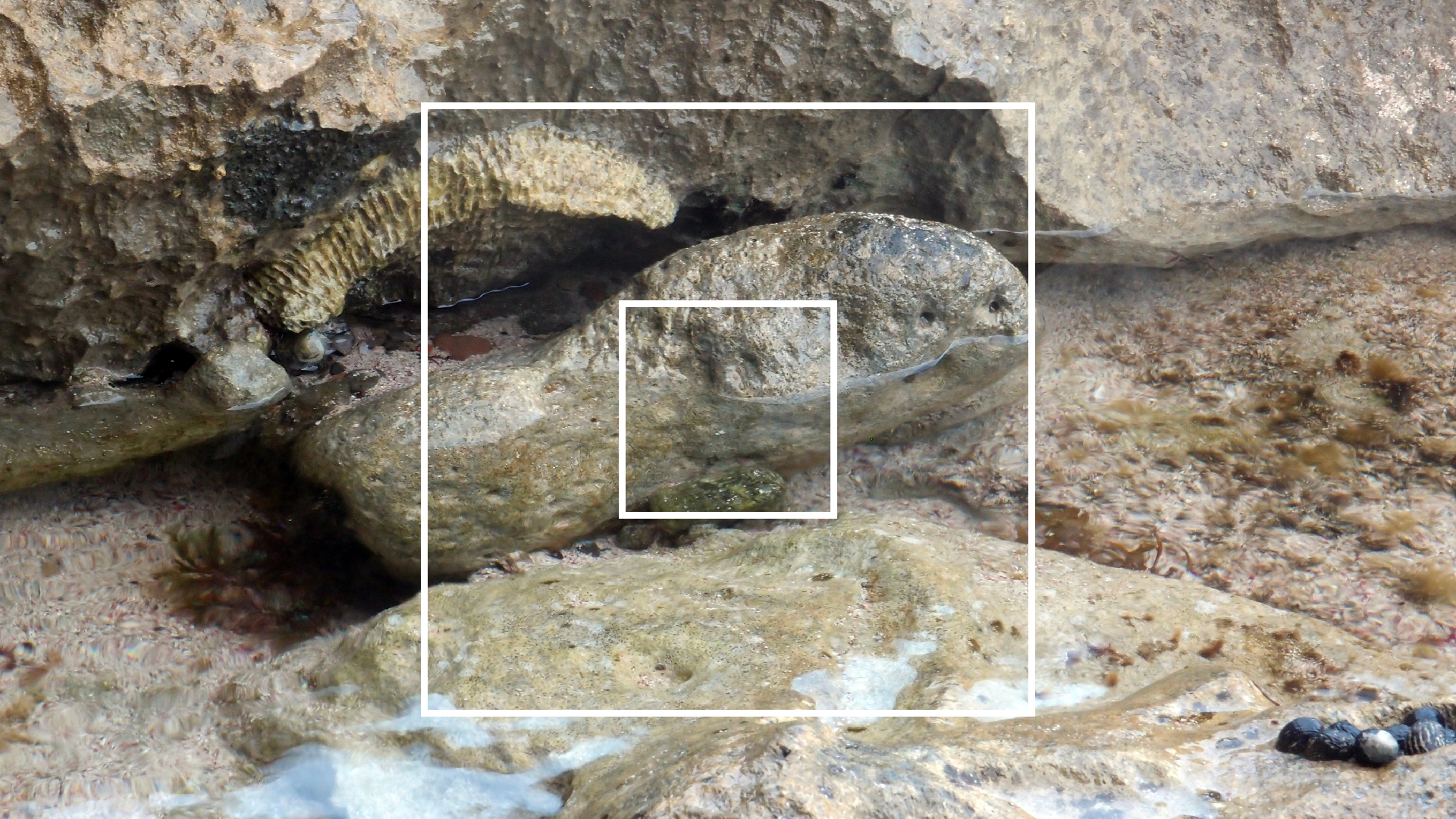 2022-04-14 Shete Boka Nationalpark (Foto)