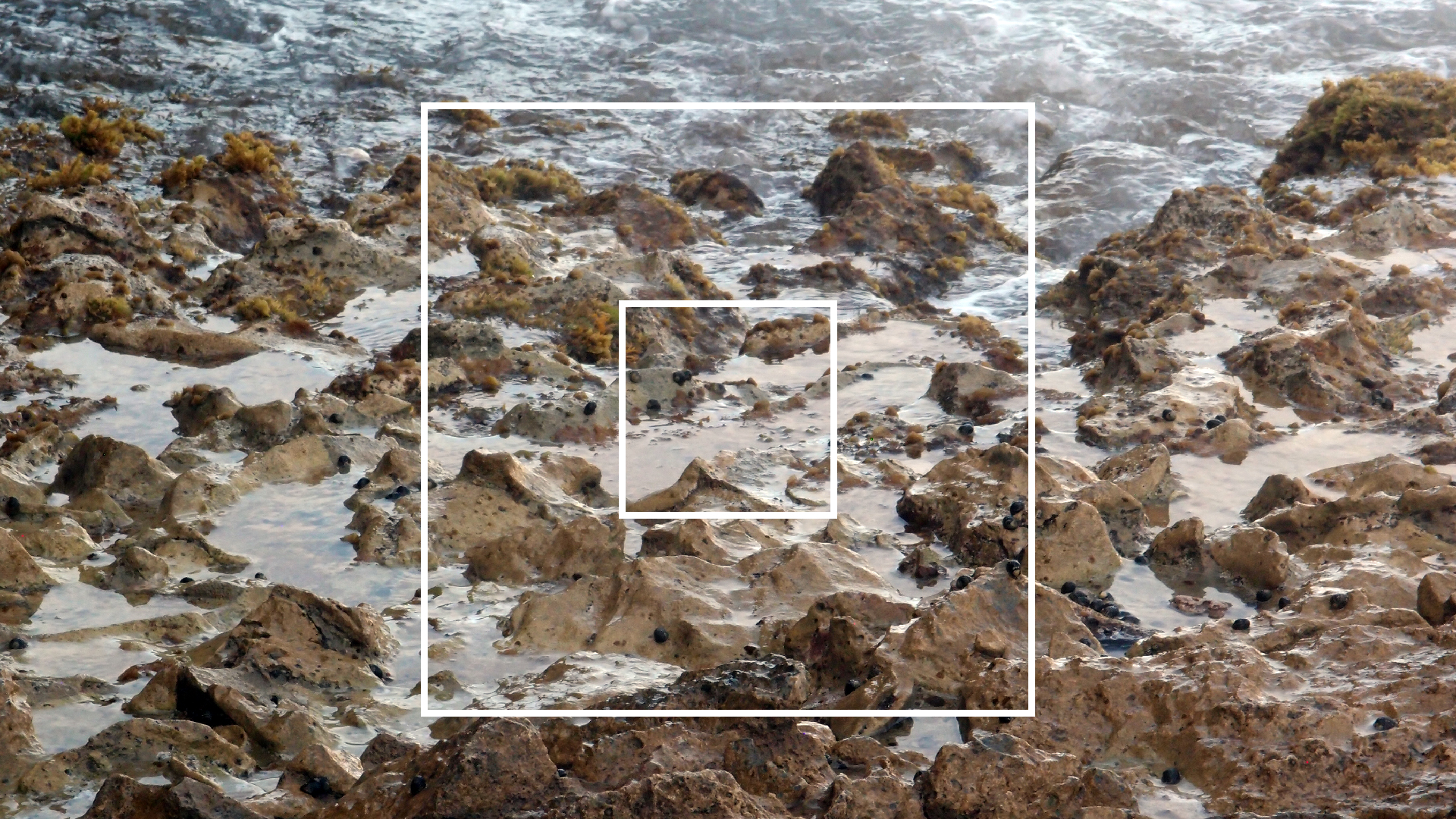 2022-04-14 Shete Boka Nationalpark (Foto)