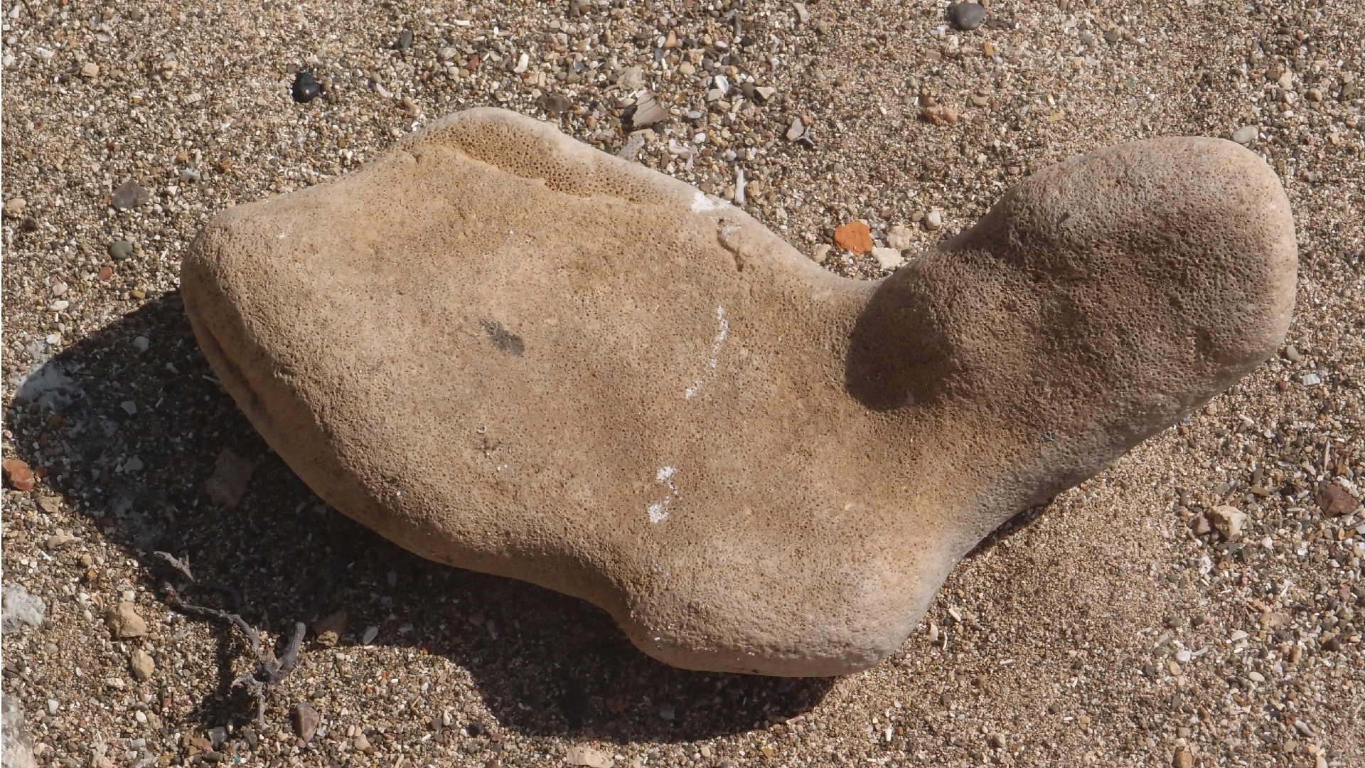 2022-04-14 Shete Boka Nationalpark (Foto)