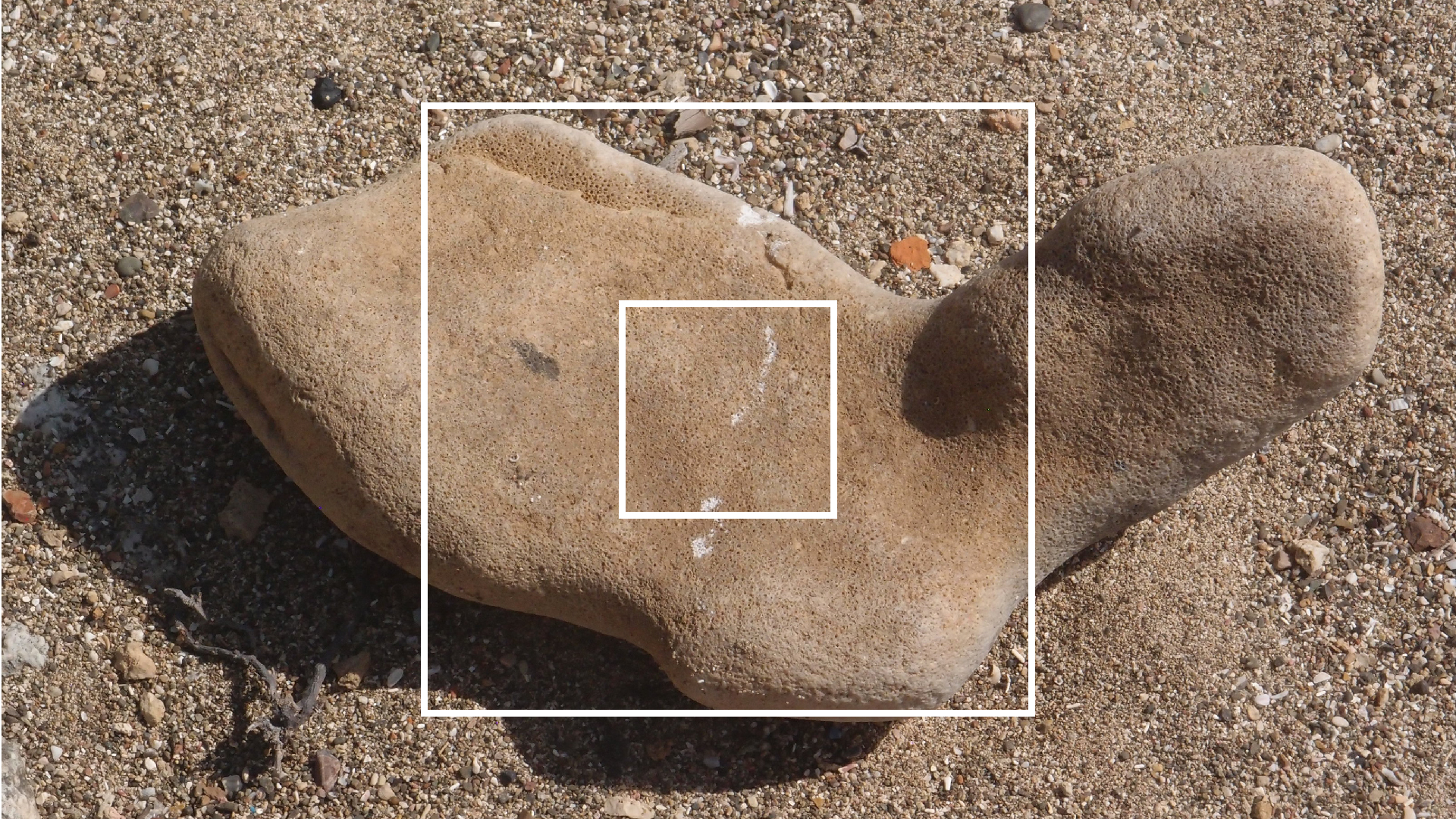 2022-04-14 Shete Boka Nationalpark (Foto)